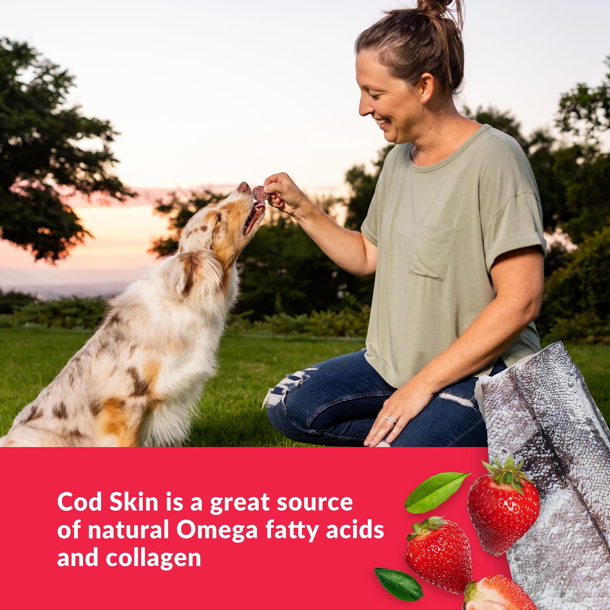 Wild Eats Fish Skin Dog Treats Cod Superfood Medallions 3oz - Strawberry & Cod Limited Ingredient