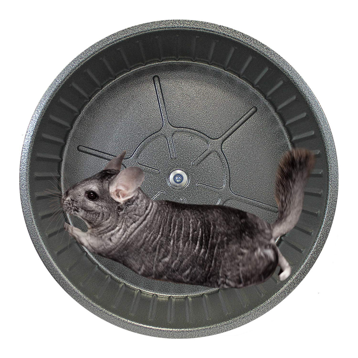 15'' Chin-Sprint : All-Metal Durable, Fast Exercise Wheel - For Chinchillas, Prairie Dogs, Rats, Degus, Hedgehogs, Opossums & Ot