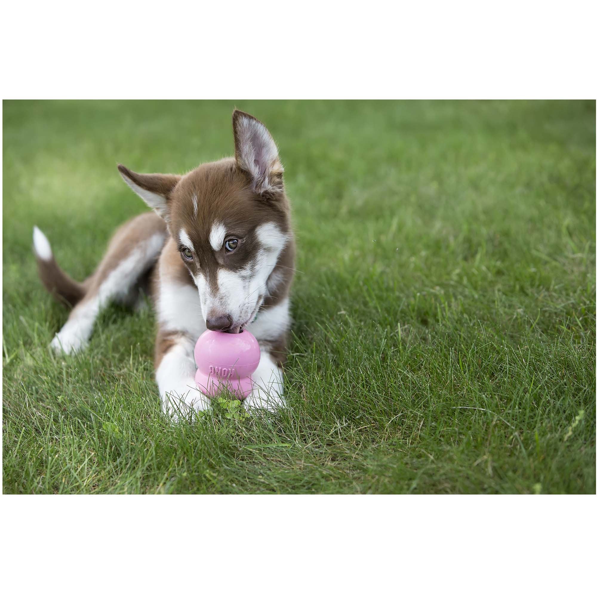 KONG Puppy Easy Treat