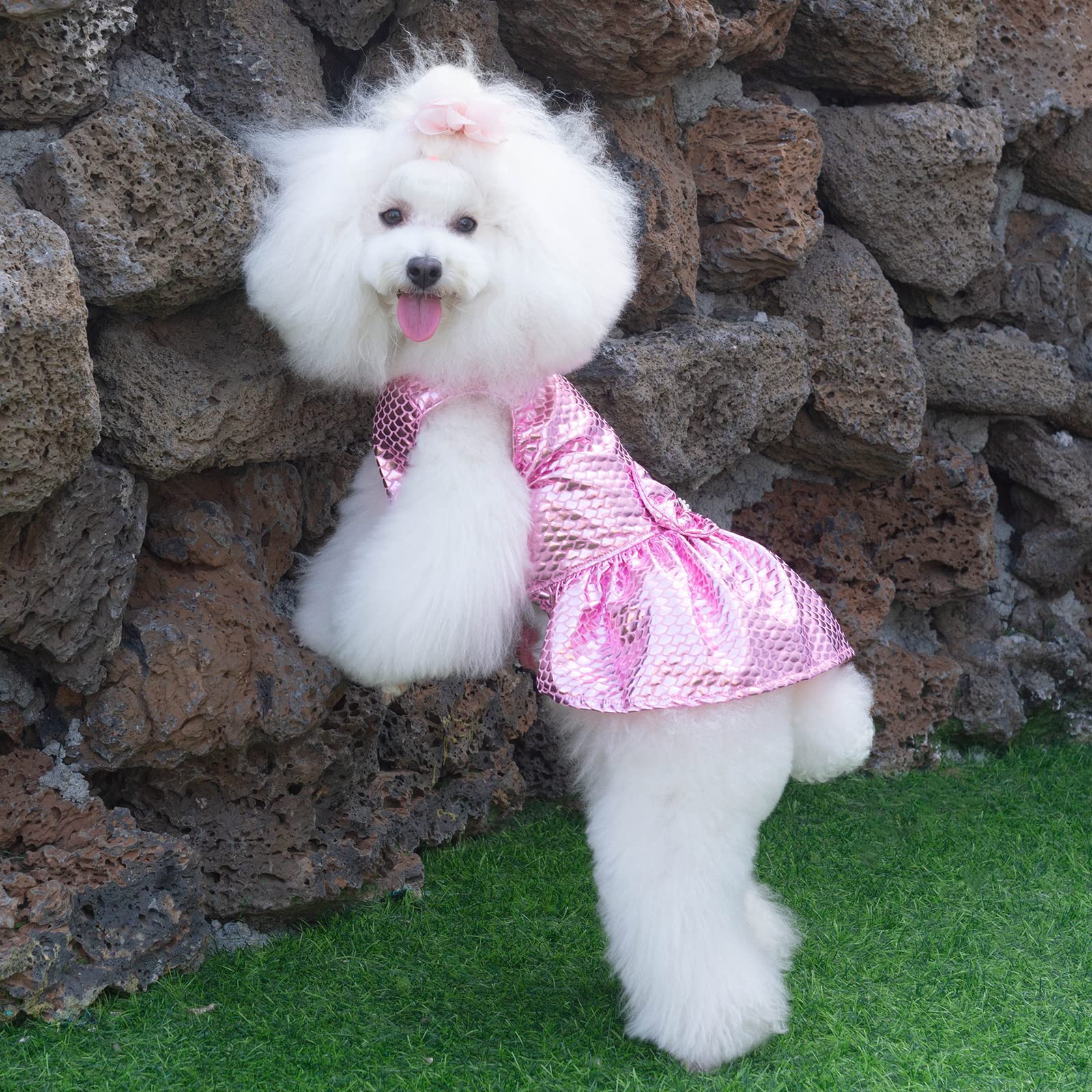 Cutebone Dog Dresses Bling Mermaid Summer Puppy Clothes For Medium Dogs Girl Sequins Skirt Dd11M