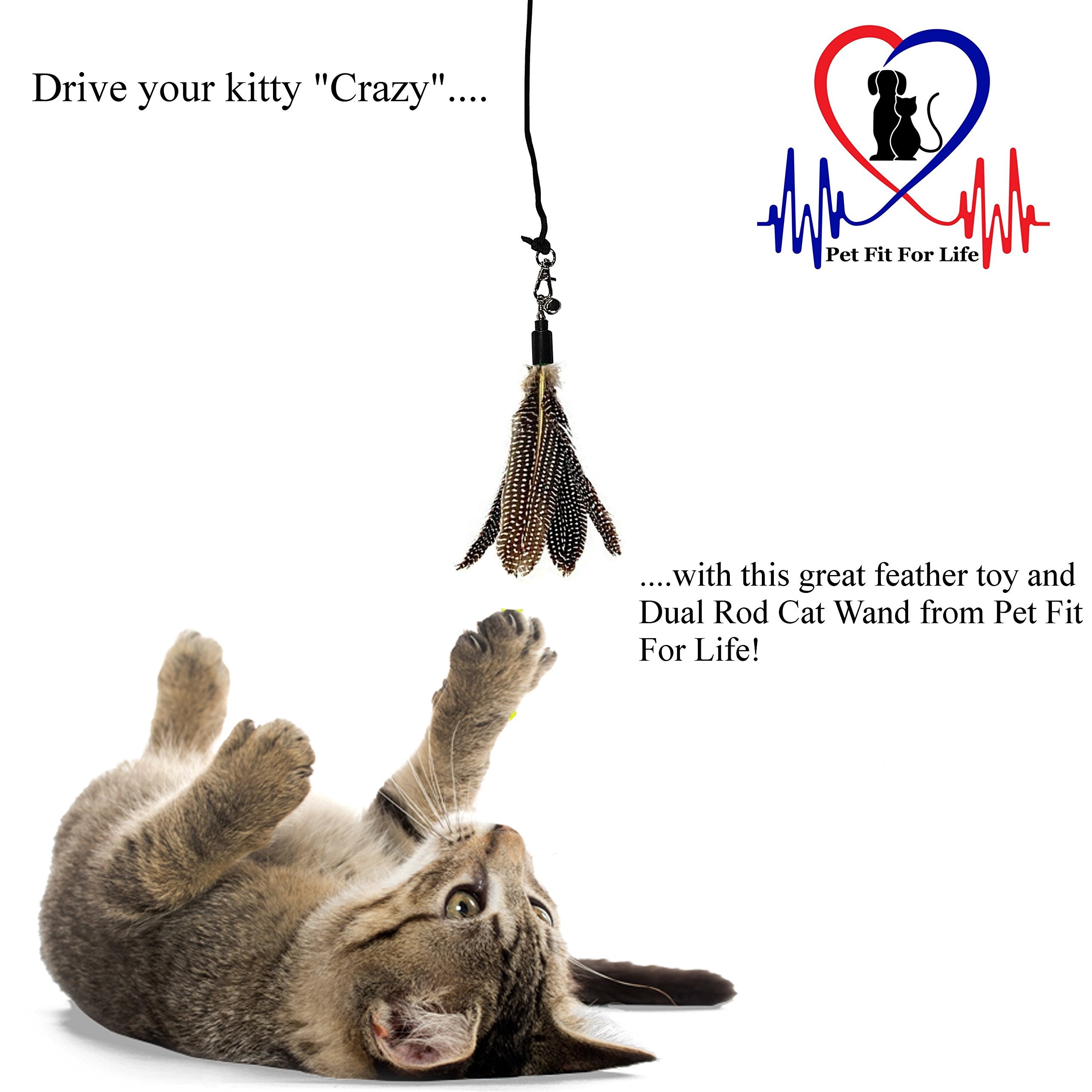 Pet Fit For Life 2 Feather Teaser And Exerciser For Cat And Kitten - Cat Toy Interactive Cat Wand