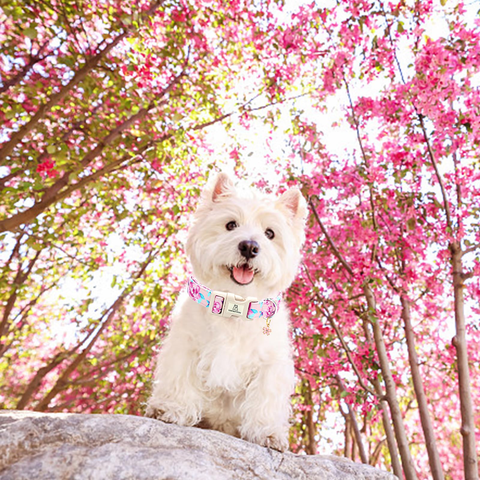 Lionheart Glory Dog Collar Floral Pattern Cute Collar For X-Small Dogs Spring Summer Female Or Male Collars Pet Gift Adjustable