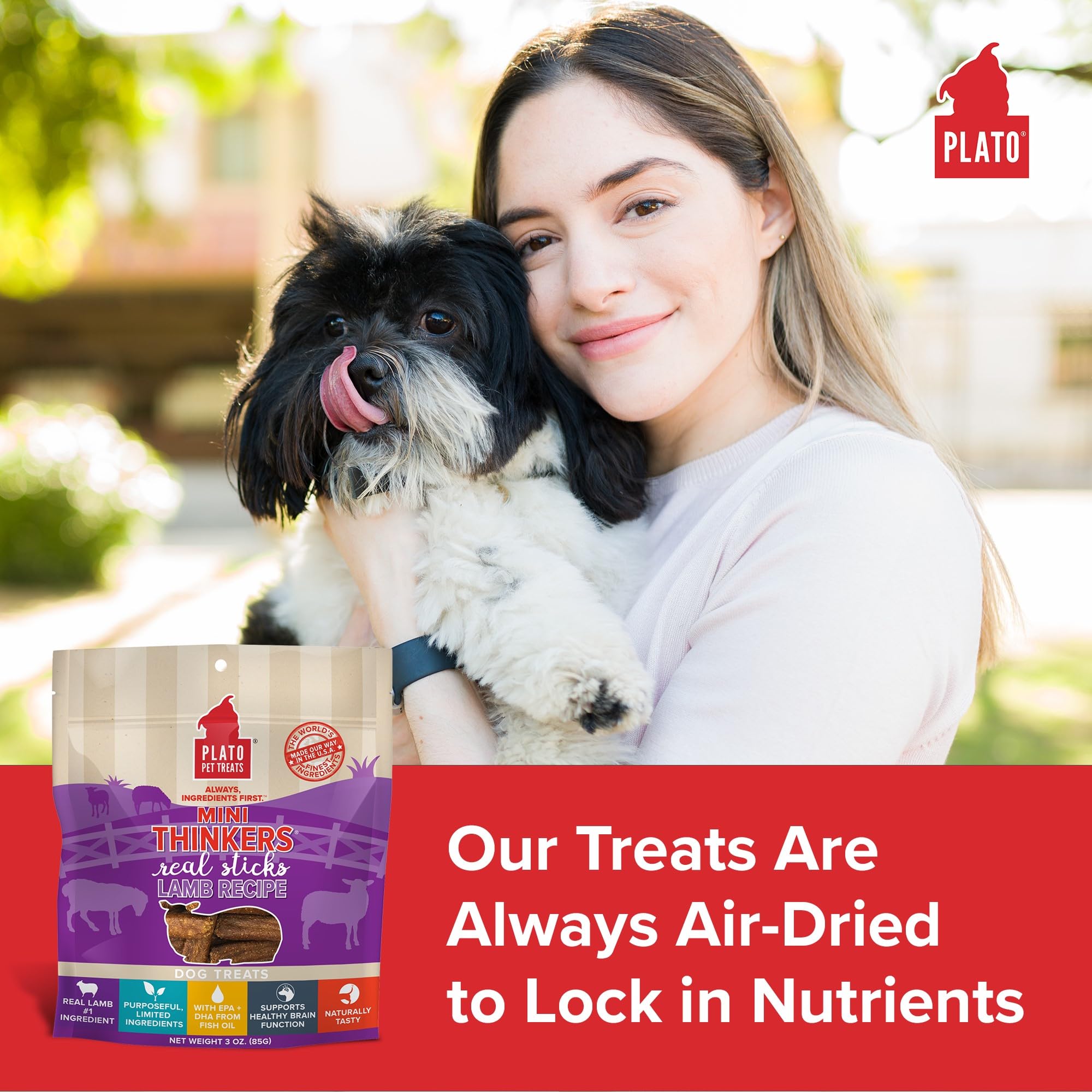 Plato Pet Treats Air Dried Dog Treats Lamb Mini Thinkers Sticks, Natural Dog Treats, Real Meat, Air Dried, Made in the USA, 6oz