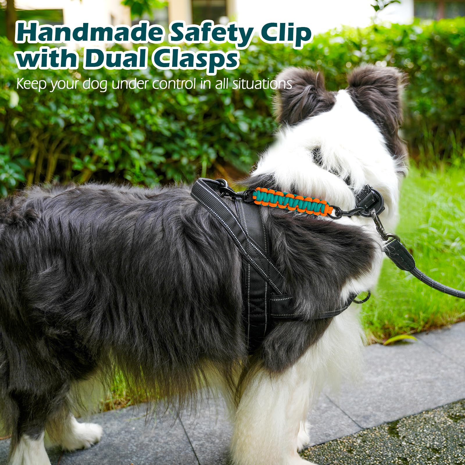 Petbonus Dog Collar Safety Clip, Handmade Backup Safety Strap For Dog Harness, Prong Collar, Pinch Collar, Double Ended Clasp Le