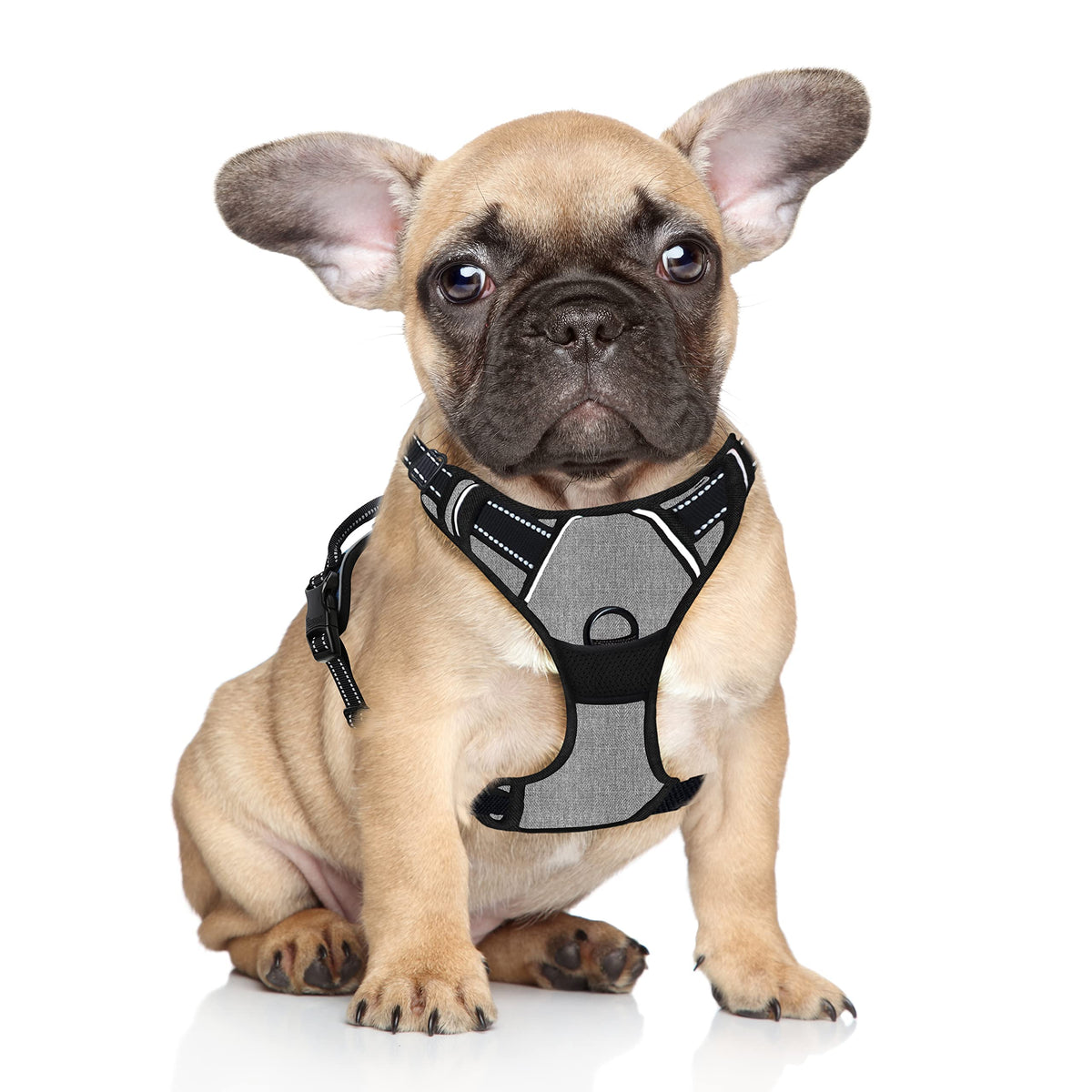 Barkbay No Pull Dog Harness Step In Reflective Dog Harness With Front Clip And Easy Control Handle For Walking Training Running(