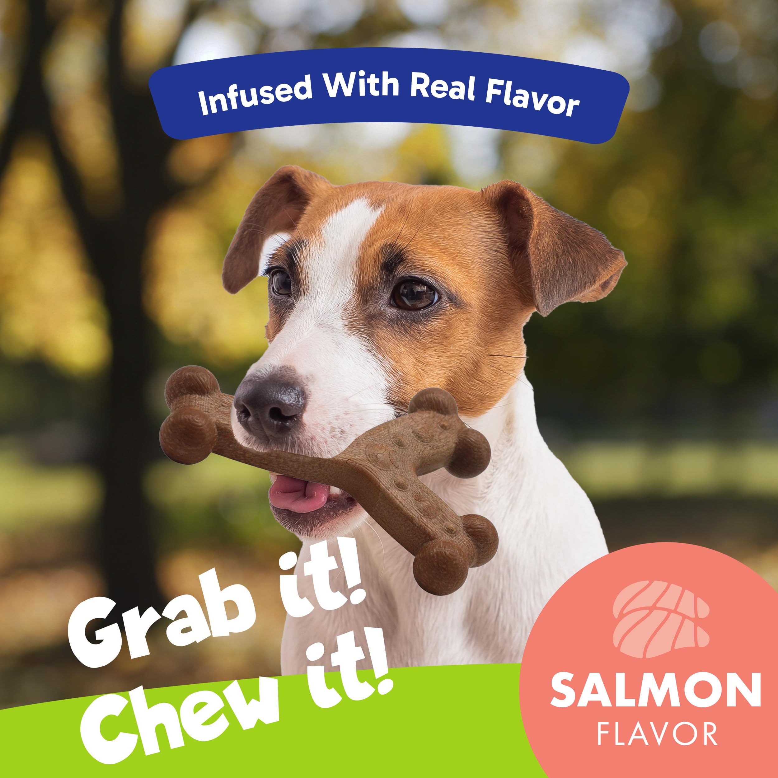 Chew'Ems Durable Chew Toys For Small Dogs | Long-Lasting & Flavorful Chew Dog Toys, Small Dog Breeds | Salmon-Flavored