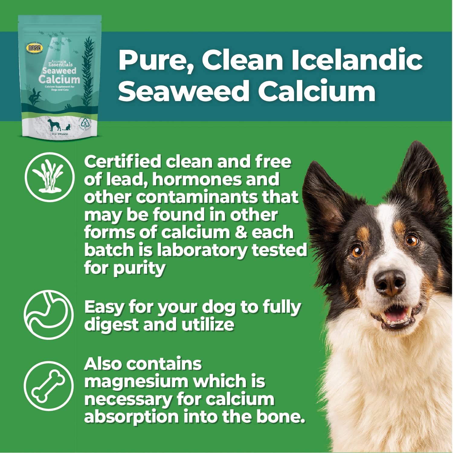 Animal Essentials Seaweed Calcium Supplement for Dogs & Cats, 12 oz (2-Pack), Multi-colored