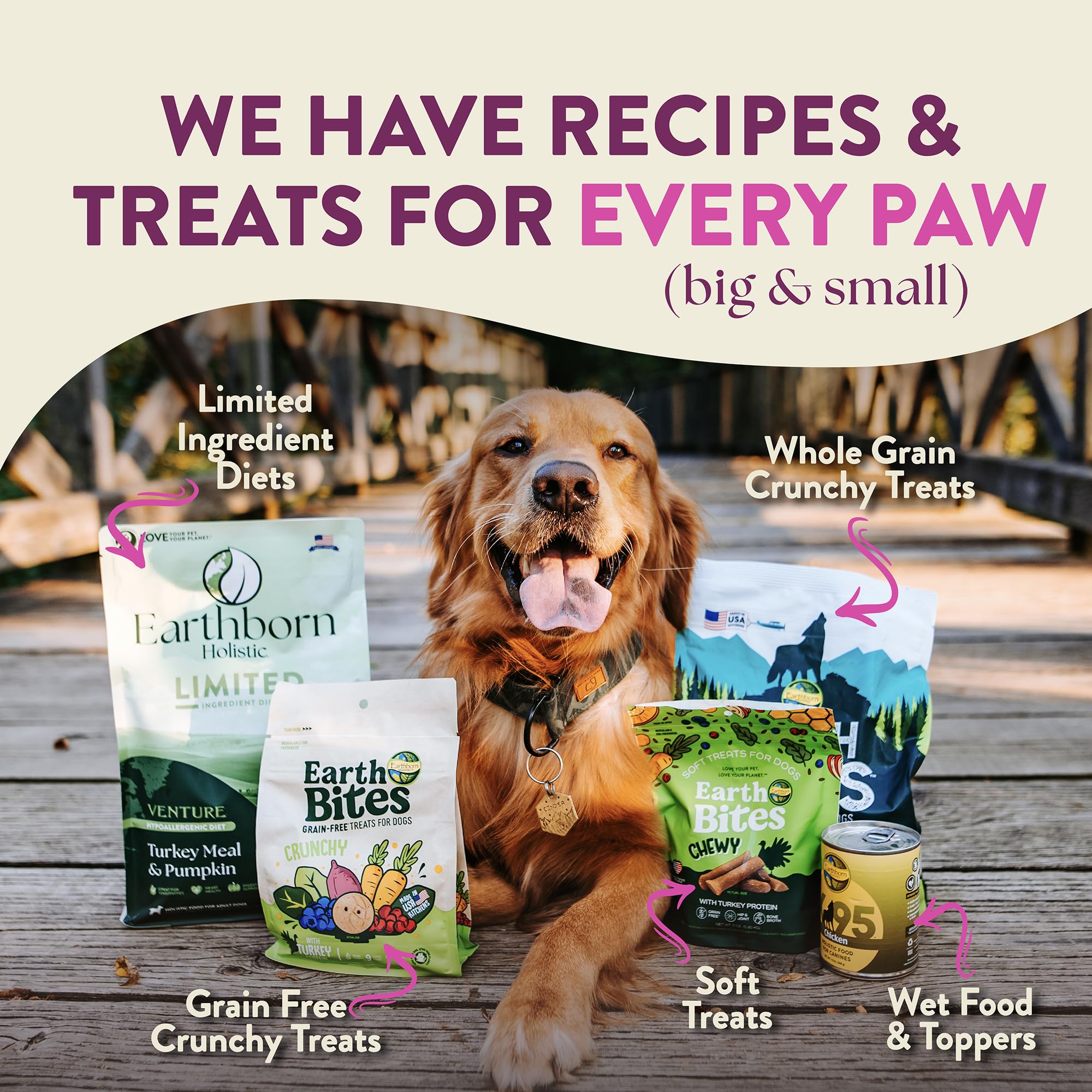 Earthborn Holistic Meadow Feast Lamb Meal & Vegetables Grain Free Dry Dog Food, 4 lb. Bag, for Sensitive Skin & Stomach, Brown