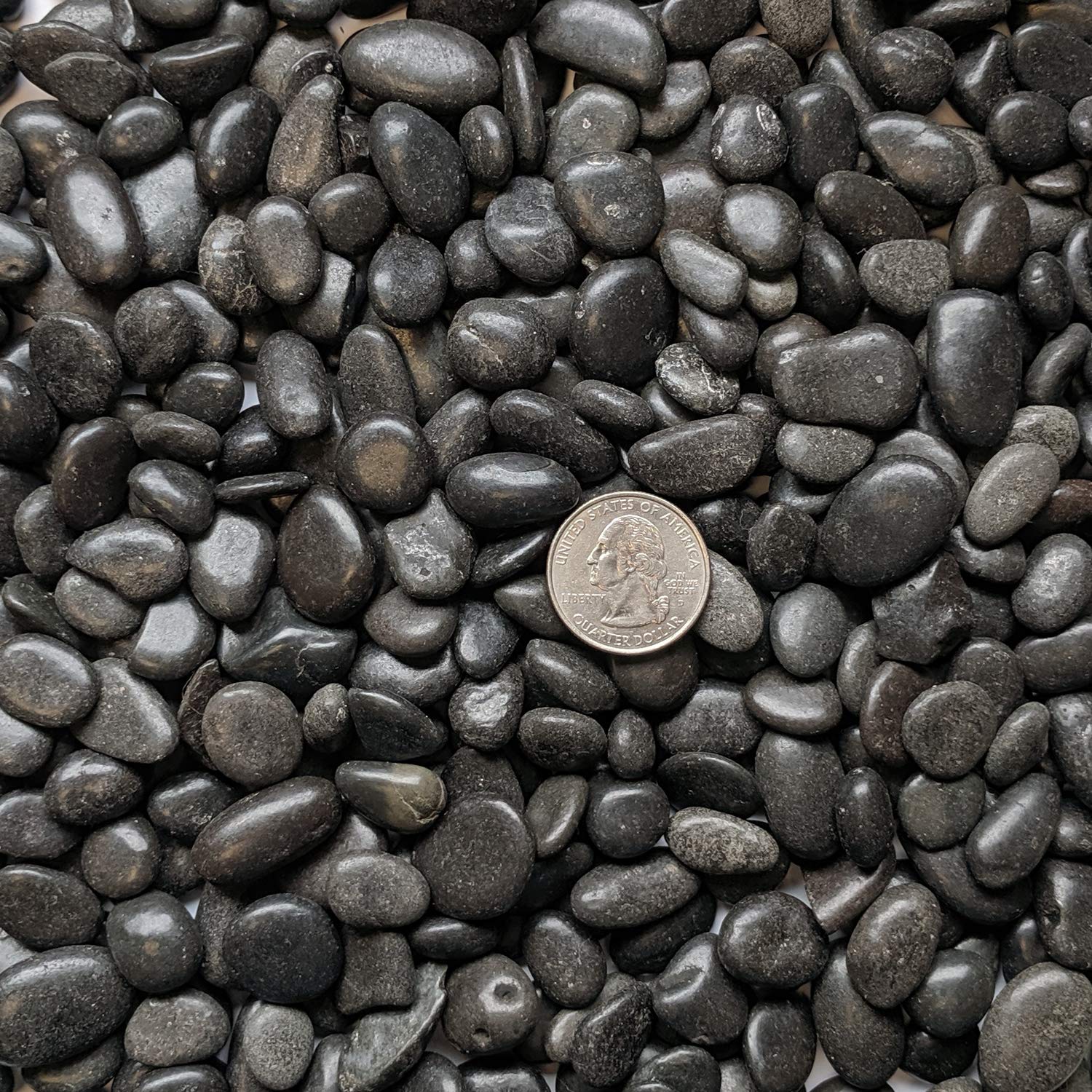 Midwest Hearth Natural Decorative Polished Black Pebbles 3/8'' Gravel Size (10-Lb Bag)