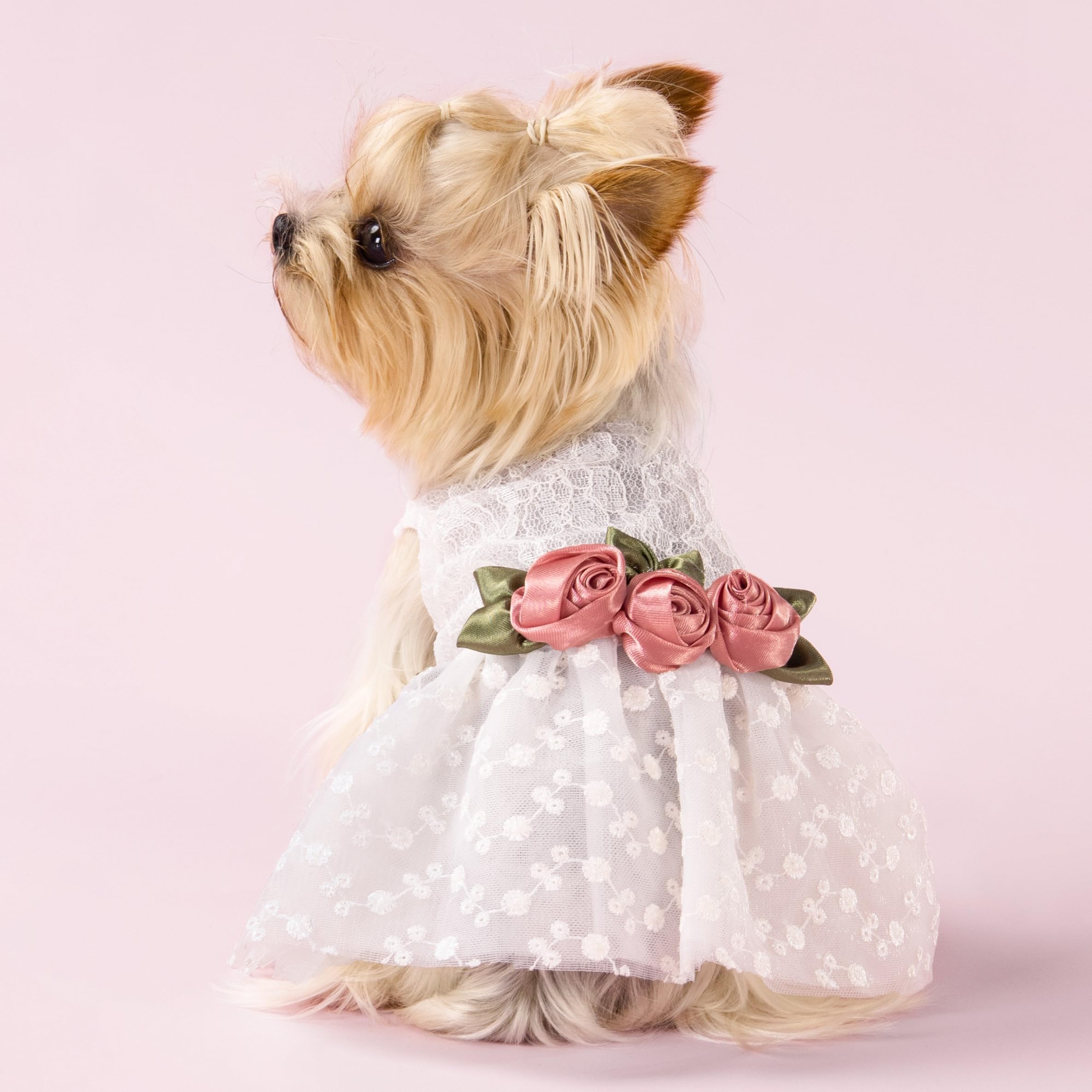 Fitwarm Luxury Rose Lace Pet Dog Weddding Dress Bride Clothes Formal Apparel, Xx-Small