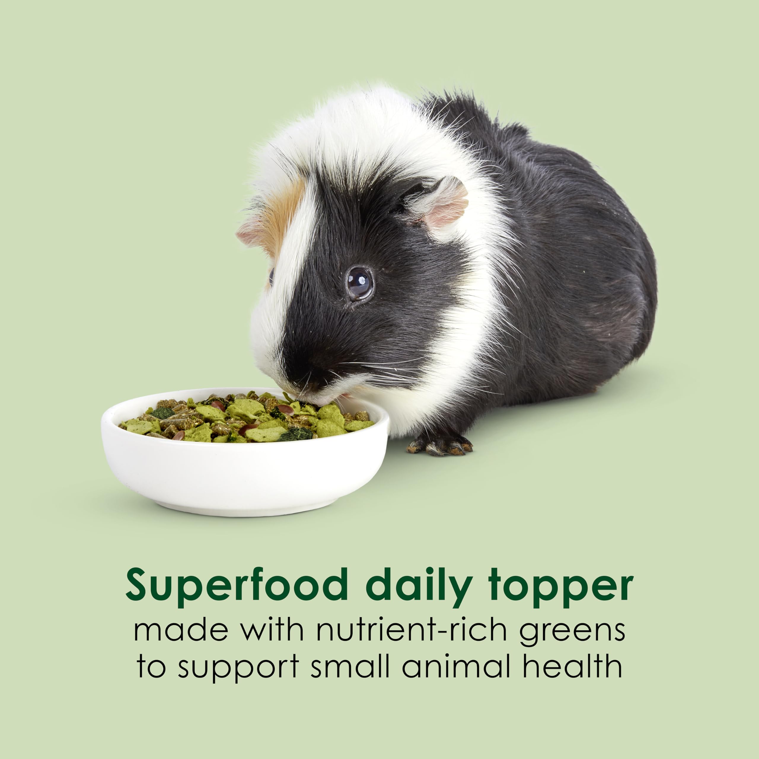 Kaytee Super C Greens, Daily Food Topper with Superfoods for Small Animal Pets, Contains Long-Lasting Vitamin C for Immune Suppo