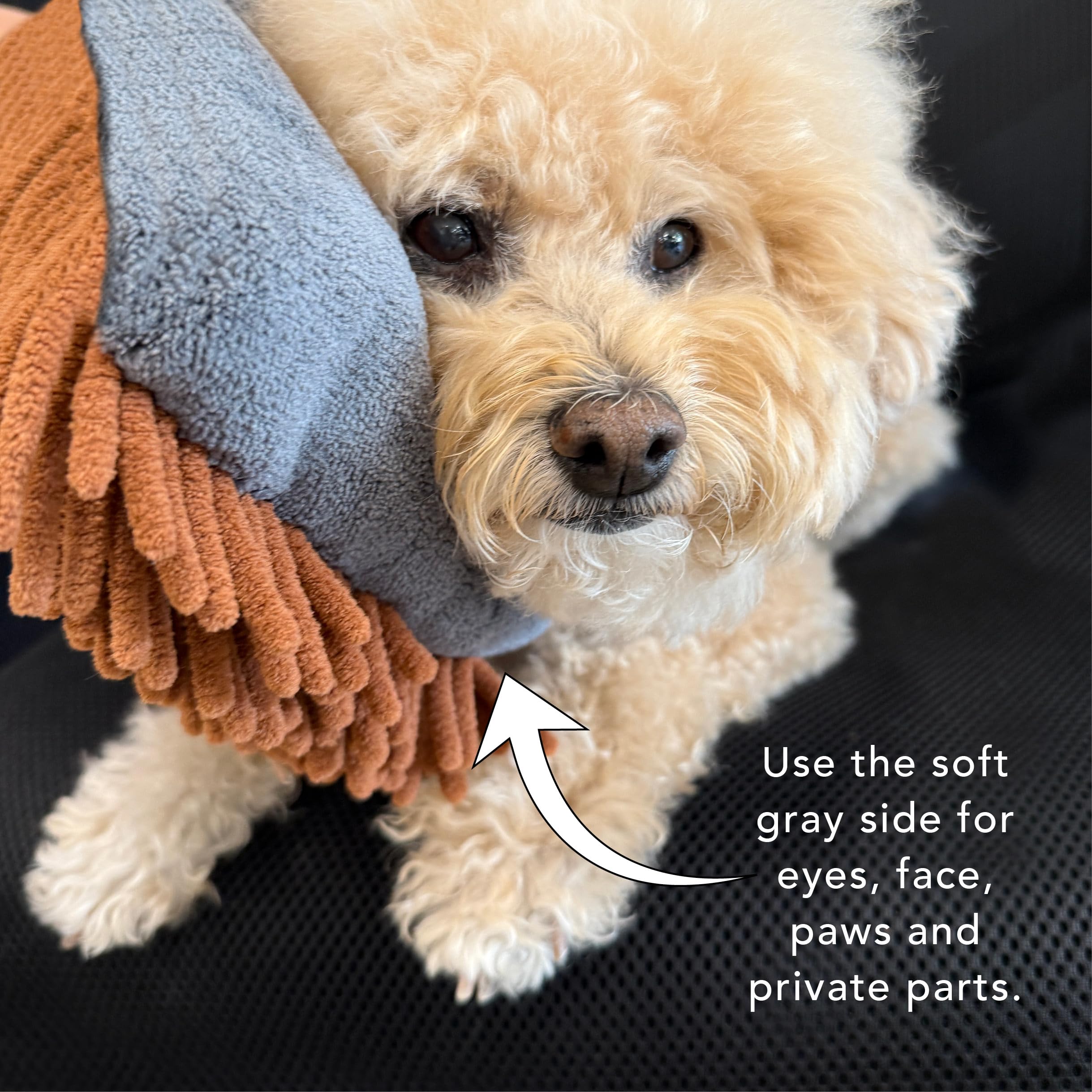 PRIDE AND GROOM Waterless Dog Bath MITT KIT - Foaming Dry Shampoo & Sensitive Glove for Rinse-Free Cleanse, Brown