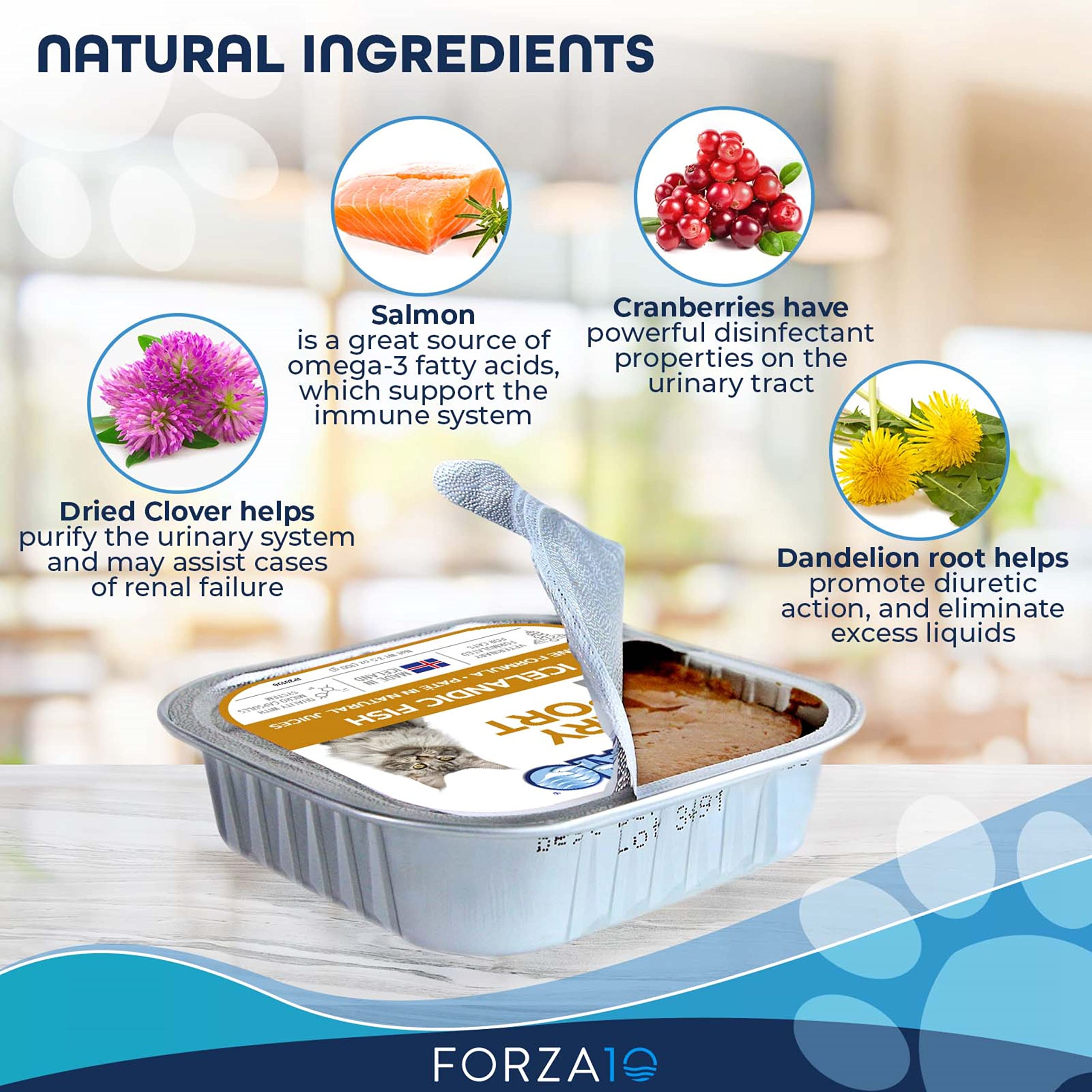 Forza10 Actiwet Urinary Cat Food, Canned Salmon Fish Flavor Urinary Tract Health Cat Food Wet, Vet Approved for Urinary Health,