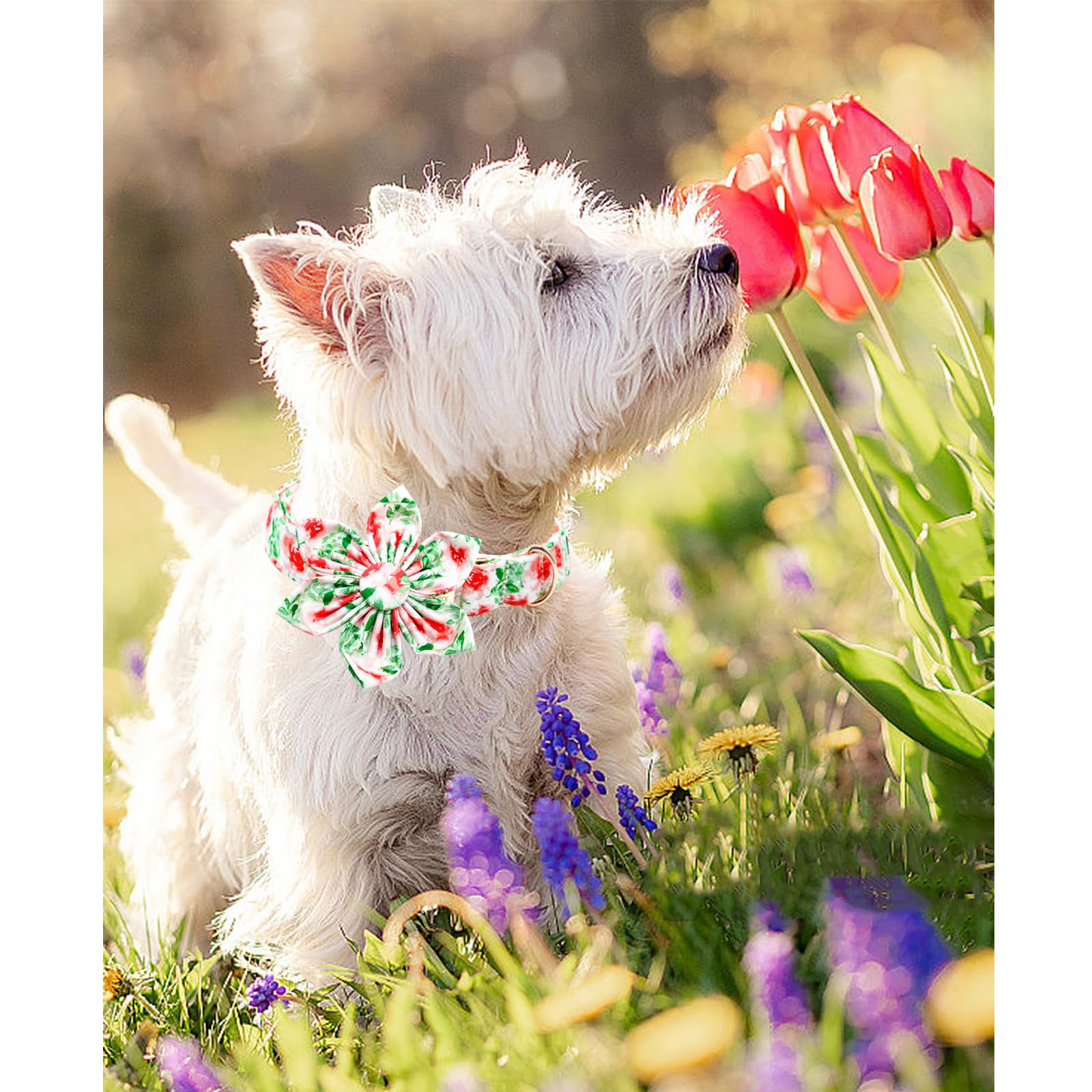 Lionheart glory Dog Collar Flowers Collar Floral Dog Collar with Flower Spring Summer Cute Collar Dog Boy or Girl Dog Collars So