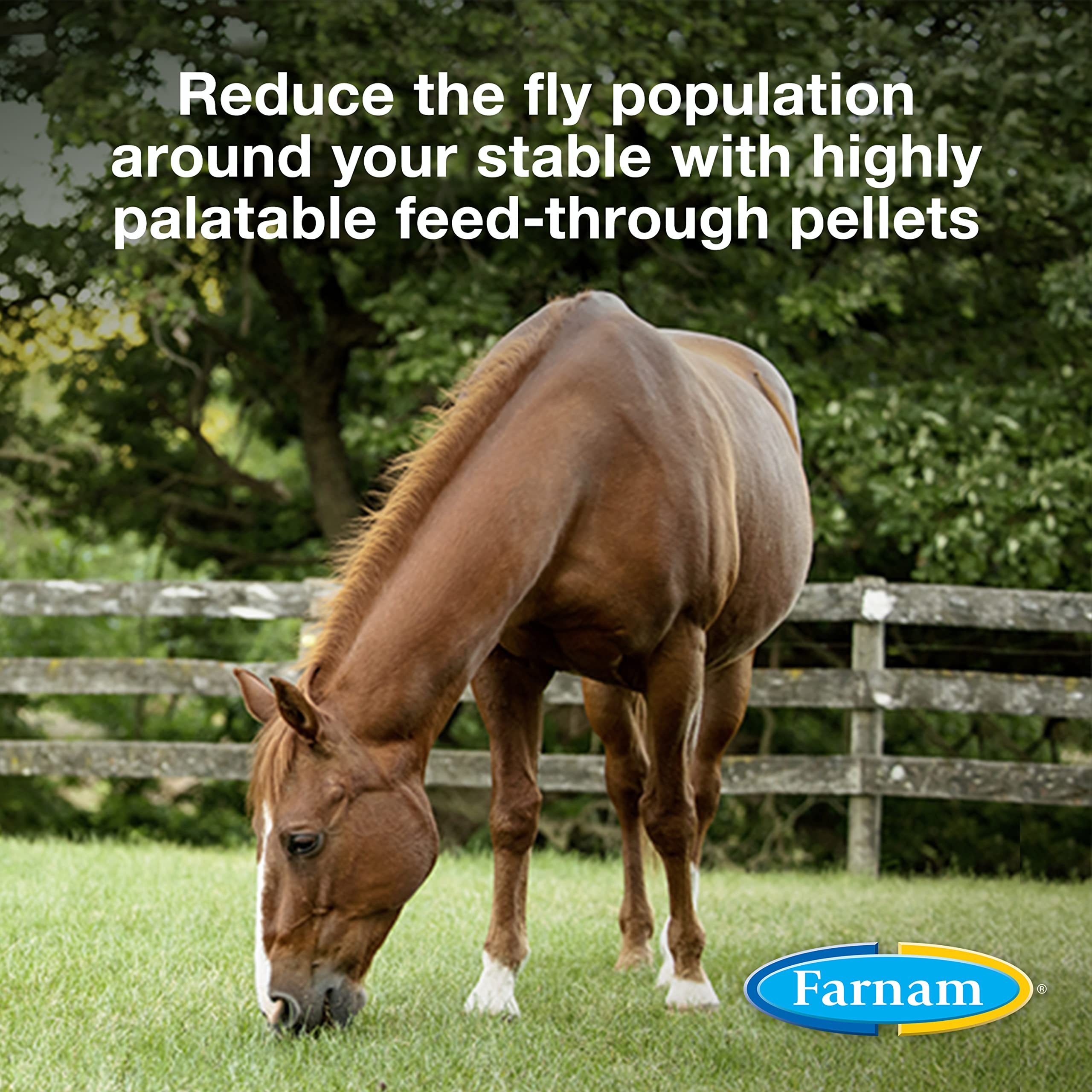 Farnam SimpliFly Feed Through Fly Control for Horses, 3.75 lbs, 60 Day Supply, EPA-Approved Pellets to Prevent Stable Flies in M