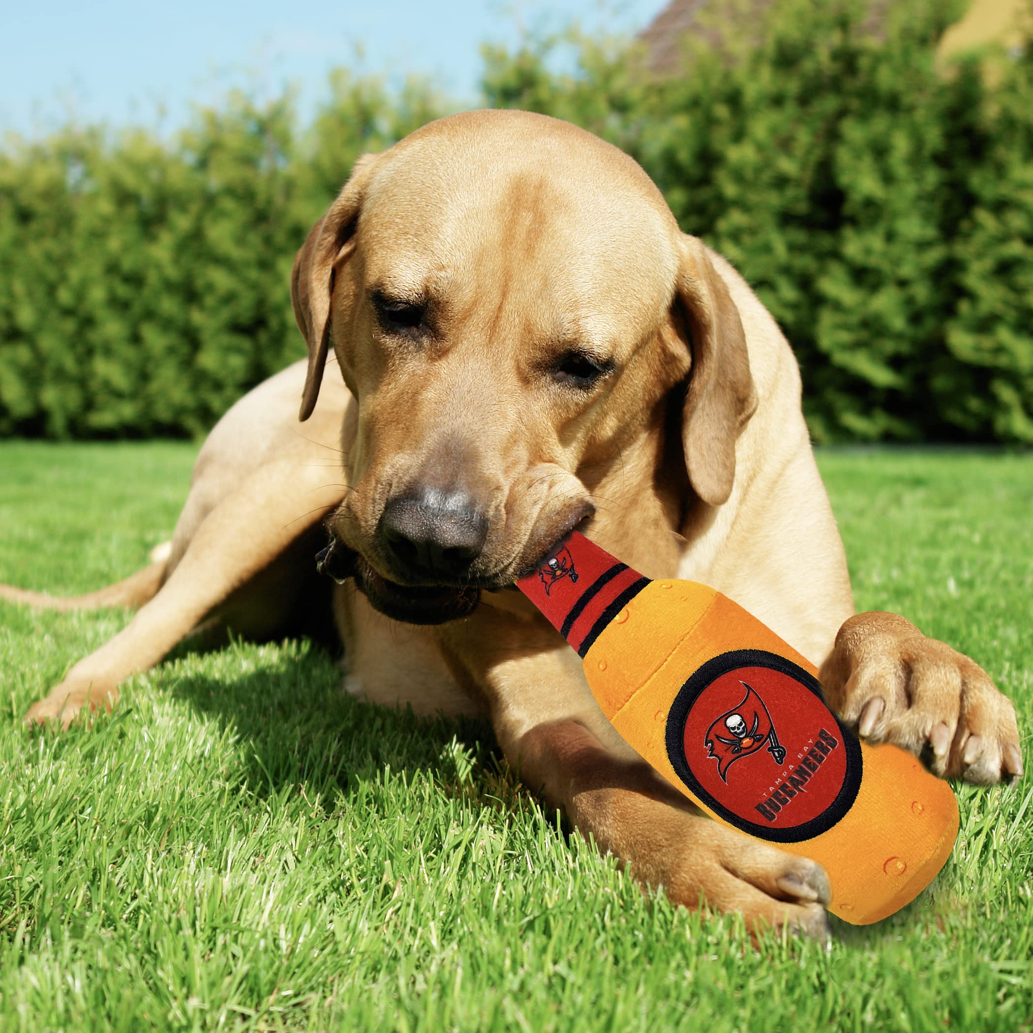 Nfl Tampa Bay Buccaneers Beer Bottle Plush Dog & Cat Squeak Toy - Cutest Stadium Soda Bottle Snack Plush Toy For Dogs & Cats Wit