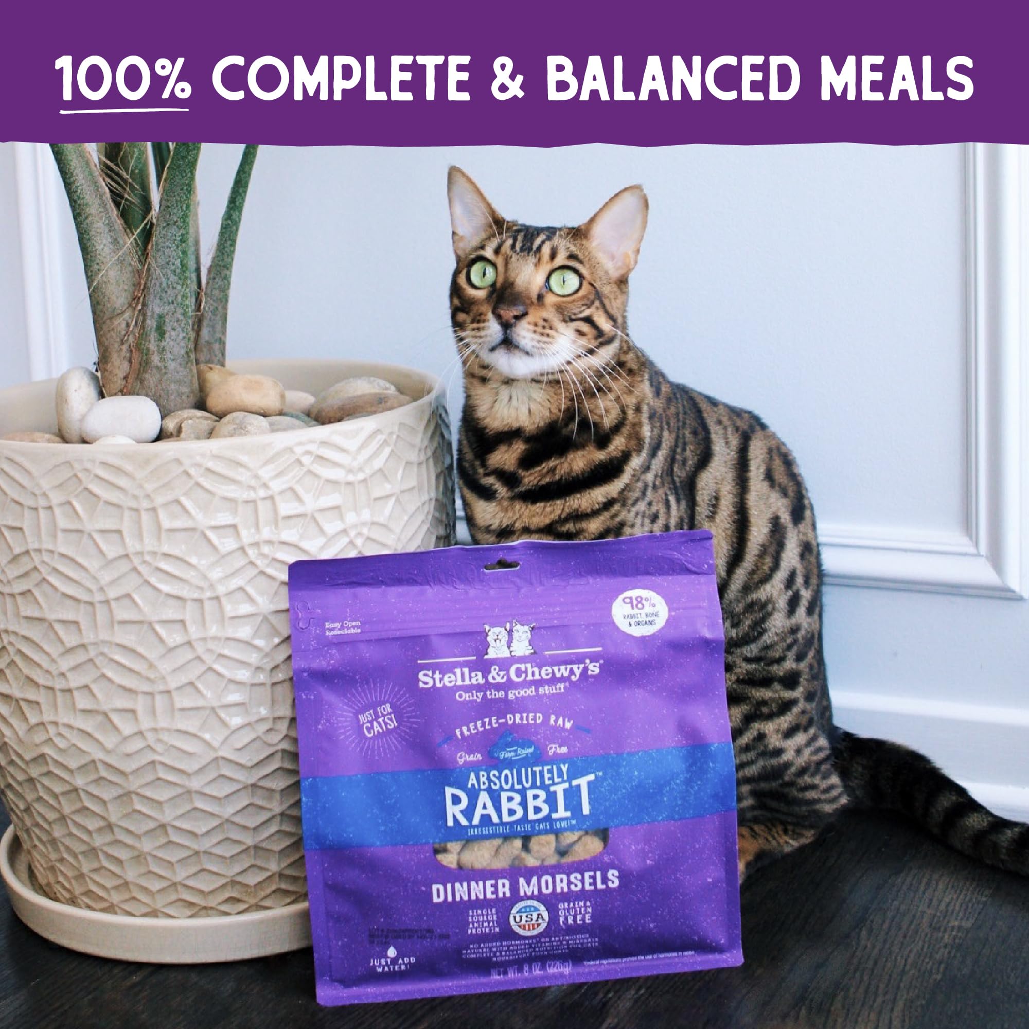 Stella & Chewys Freeze-Dried Raw Cat Dinner Morsels - Grain Free, Protein Rich Cat & Kitten Food - Absolutely Rabbit Recipe - 8