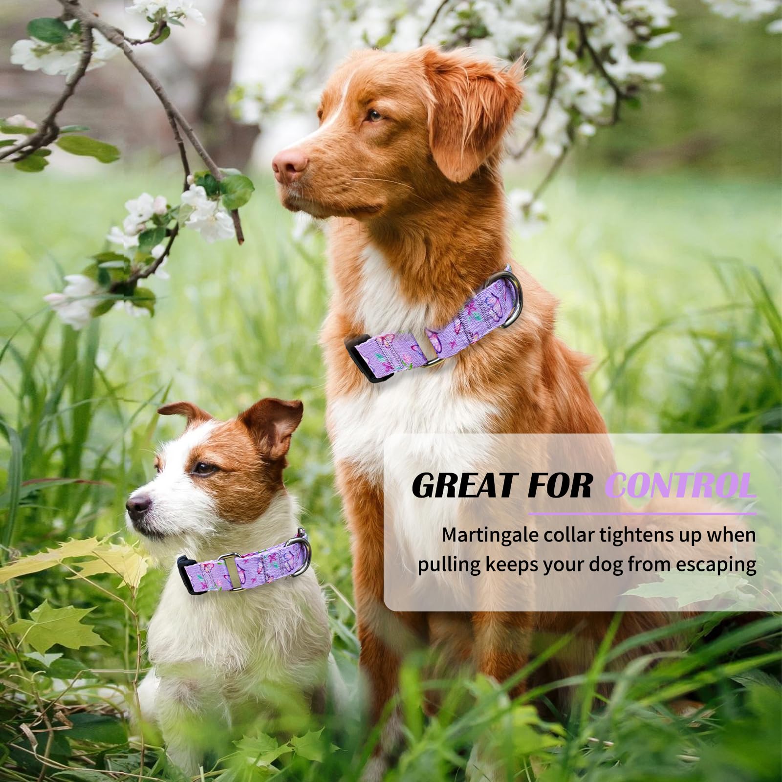 Hikiko Martingale Collar For Dogs Purple Butterfly Nylon Dog Collars With Buckle For Cute Girl Small Medium Large Dogs(Purple Bu