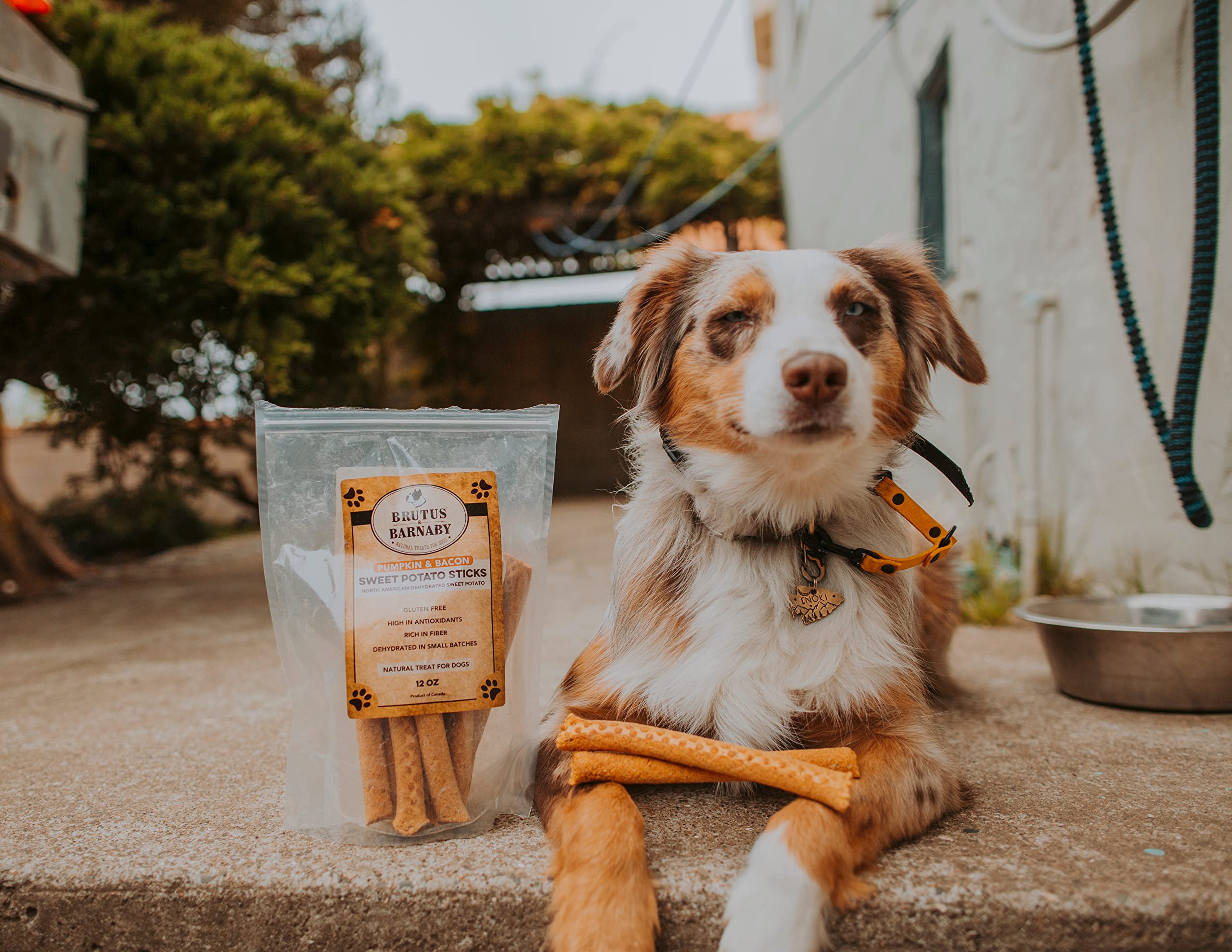 BRUTUS & BARNABY USA Sweet Potato Dog Treats - Grain Free, Pumpkin Bacon Crunchy Sticks - Great Tasting, Promotes Positive Dog G
