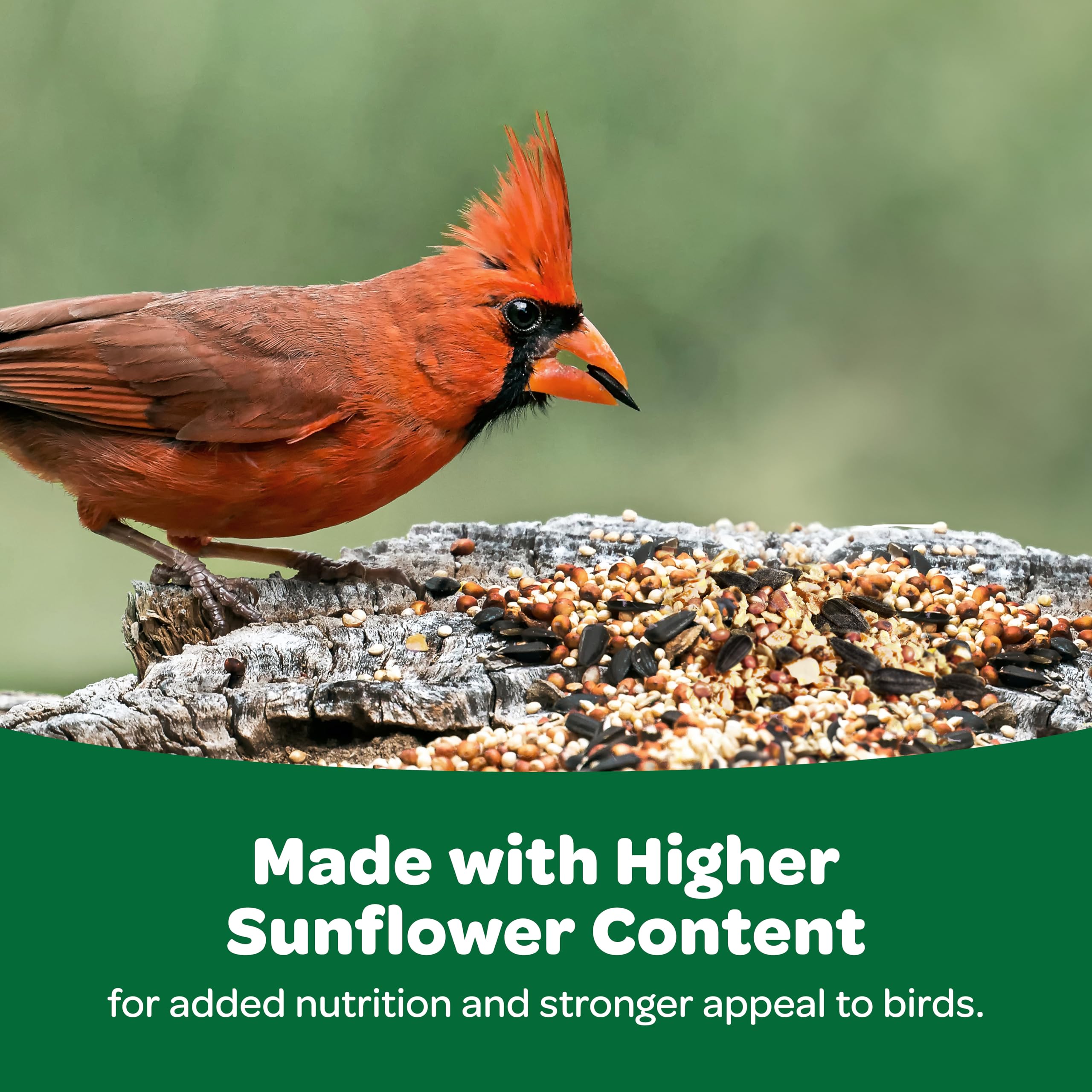 BIRDSEED WILD 5#POLY K-T (Pack of 1)