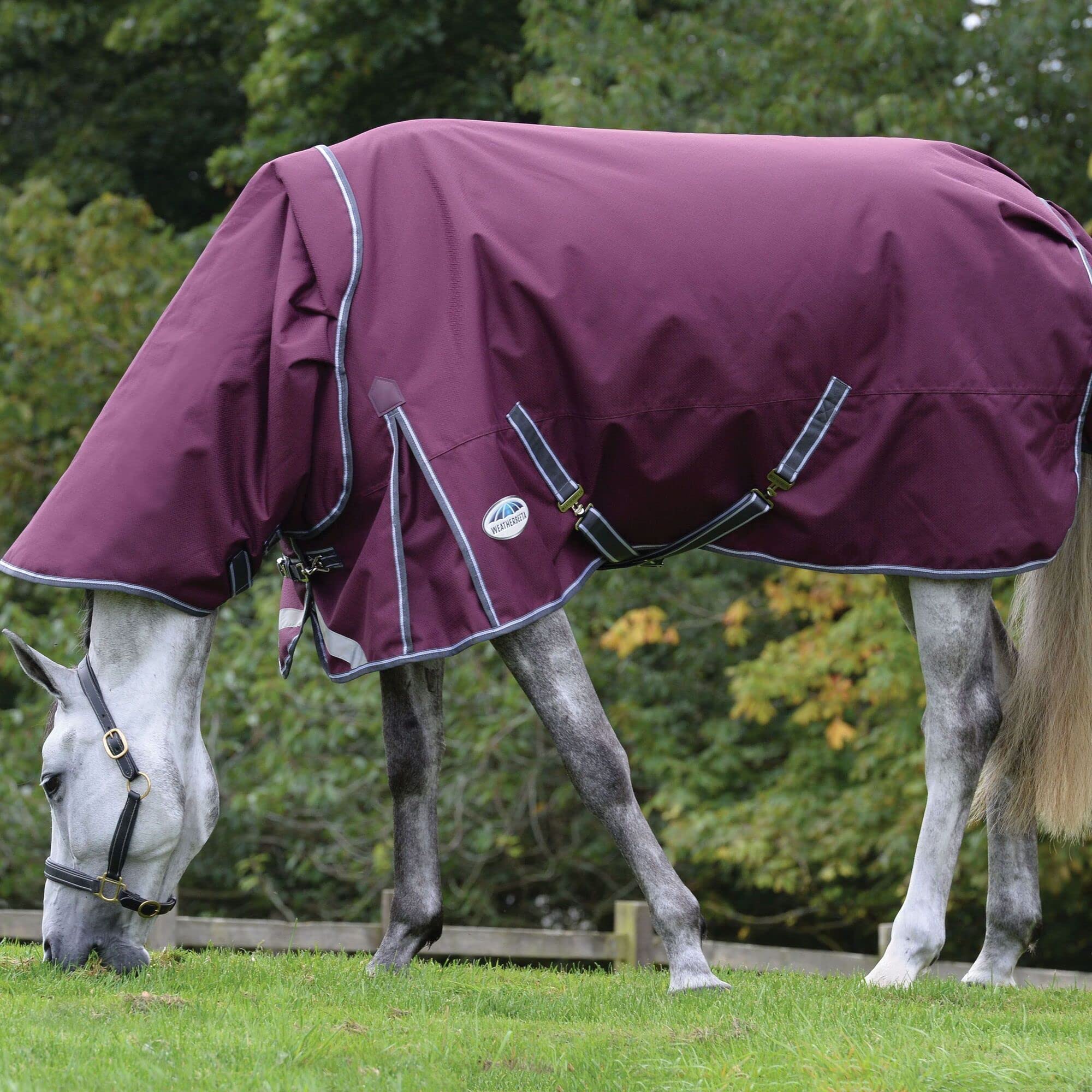 Weatherbeeta Comfitec Plus Dynamic Ii Detach-A-Neck Medium Horse Blanket, Maroon/Grey/White, 72'