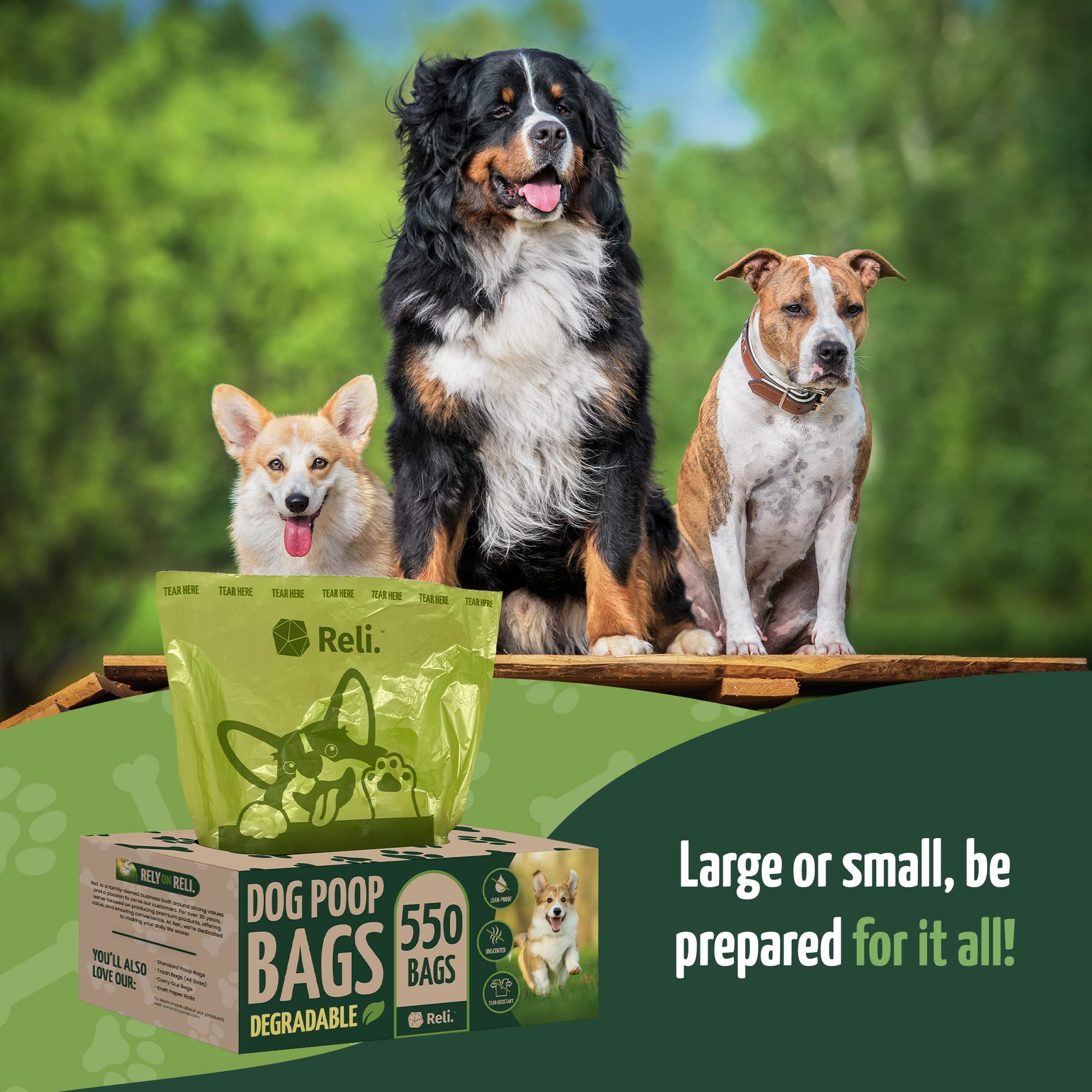 Reli. Biodegradable Dog Poop Bags (550 Count, Bulk) (Large Single Roll - Dispenser Box) | 9x13'' Large Dog Bags for Poop | Green