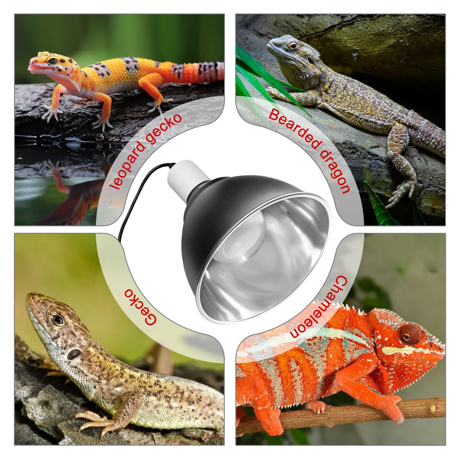 Boeespat Large Caliber Reptile Lamp Cover Dome Supports Up To 250W, Diameter 7.0 Inch Heat Lamp/Light Fixture Dome Fit For E26 U