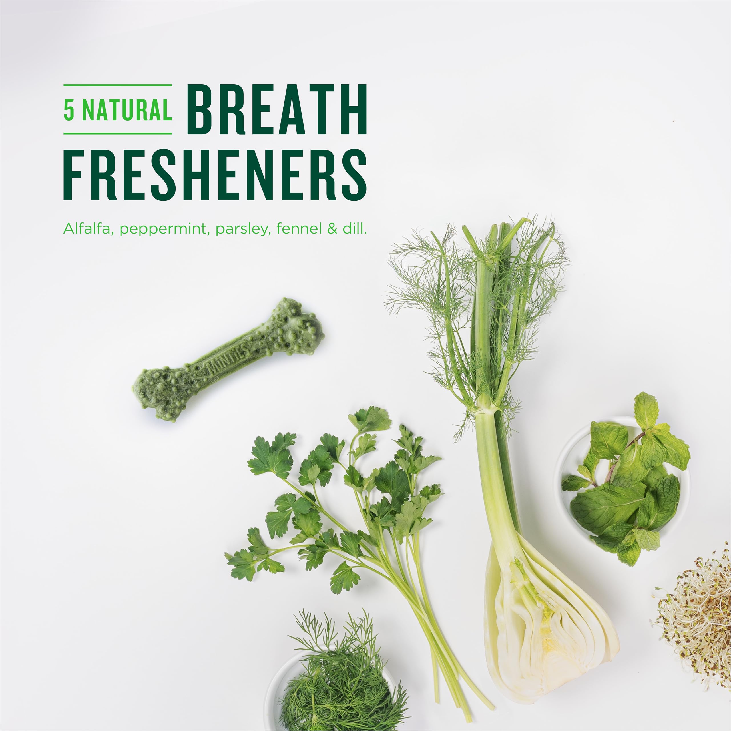 Minties Dental Chews for Dogs, 36 Count, Vet-Recommended Mint-Flavored Treats for Large Dogs Over 50 lbs, Dental Bones Clean Tee