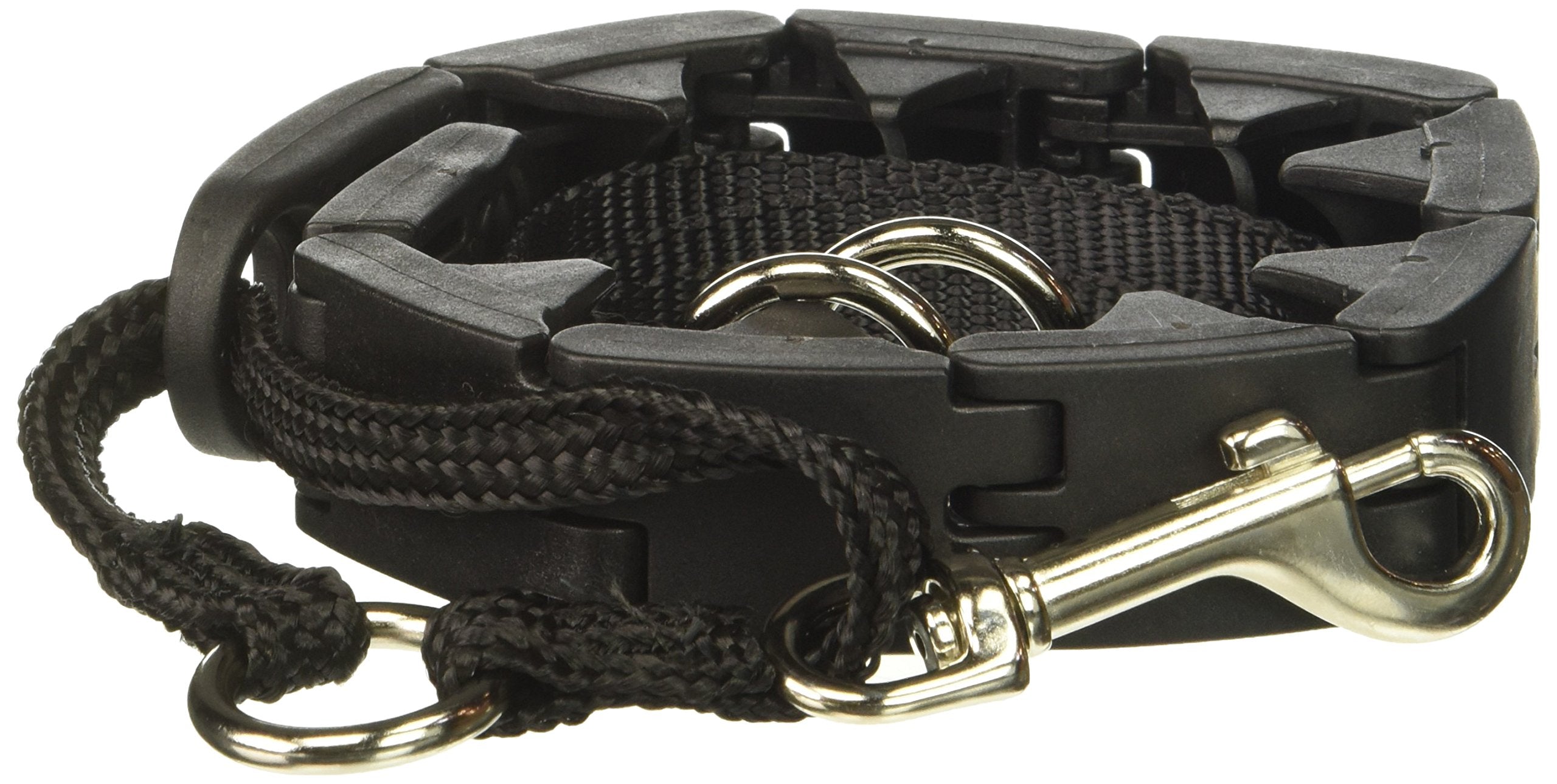 Star Mark Pro-Training Dog Collar, Large - 21'