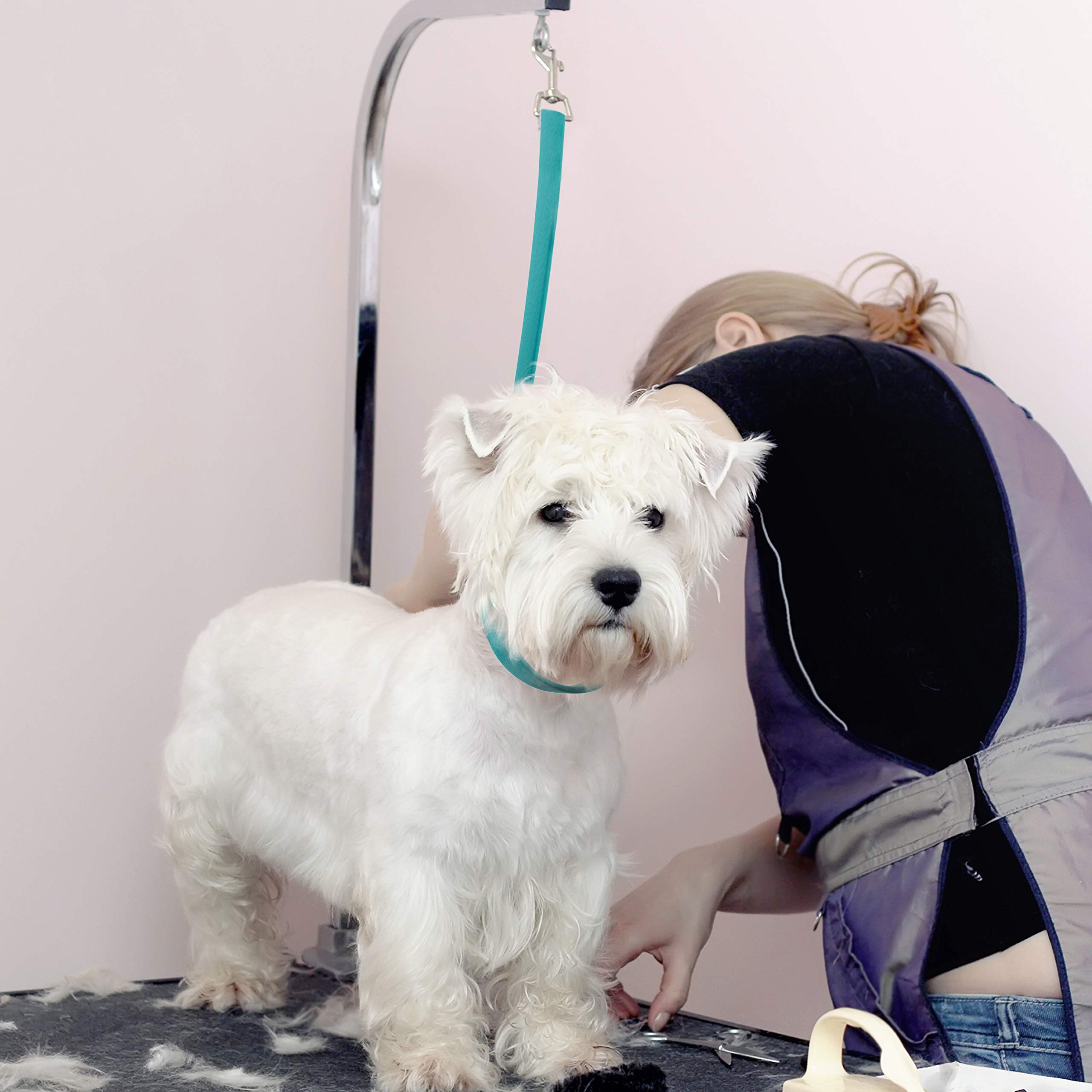 Jelly Pet Grooming Loop Slip Style (1/2'' X 30'', Teal) | Made In The Usa