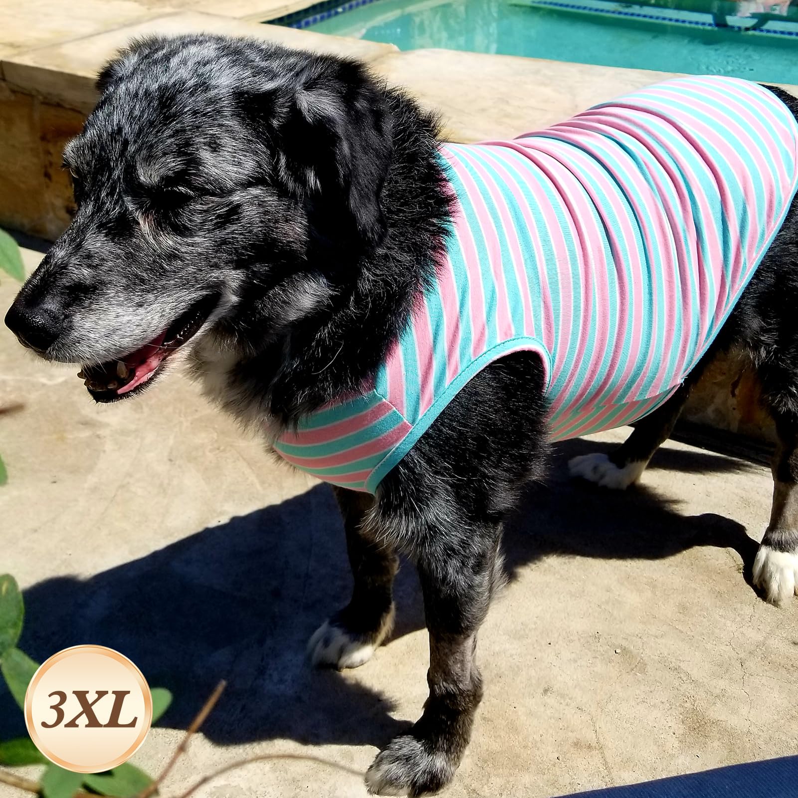 Kyeese 2Pack Dog Shirts Striped T Shirt For Large Dogs Lightweight Clothes Sleeveless Vest Cotton Tank Top, Xxx-Large,Purple+Str