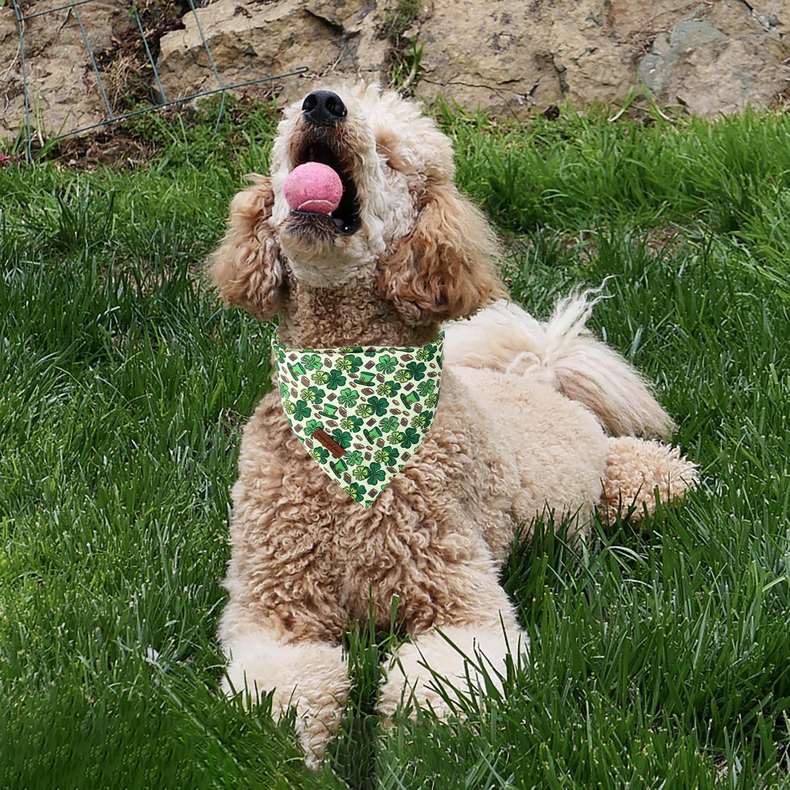 Unique Style Paws Dog St. Pat Bandanas 2Pcs Washable Cotton Triangle Colorful Clover Magic Hat Dog Scarfs For Small Medium Large
