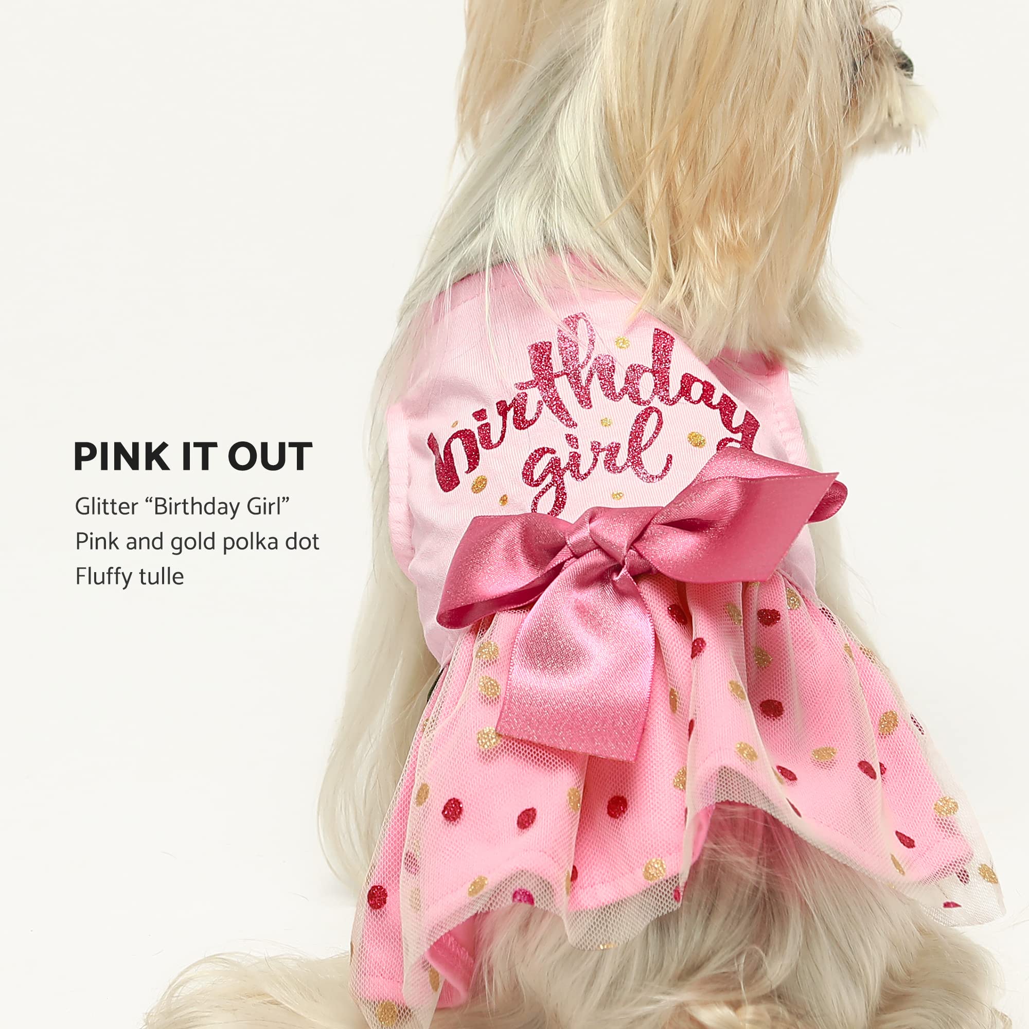 Fitwarm Birthday Girl Dog Tulle Dress, Large, Pink - Cute Apparel for Small Dogs and Cats, Fwbirthadytulledress_L_B0092