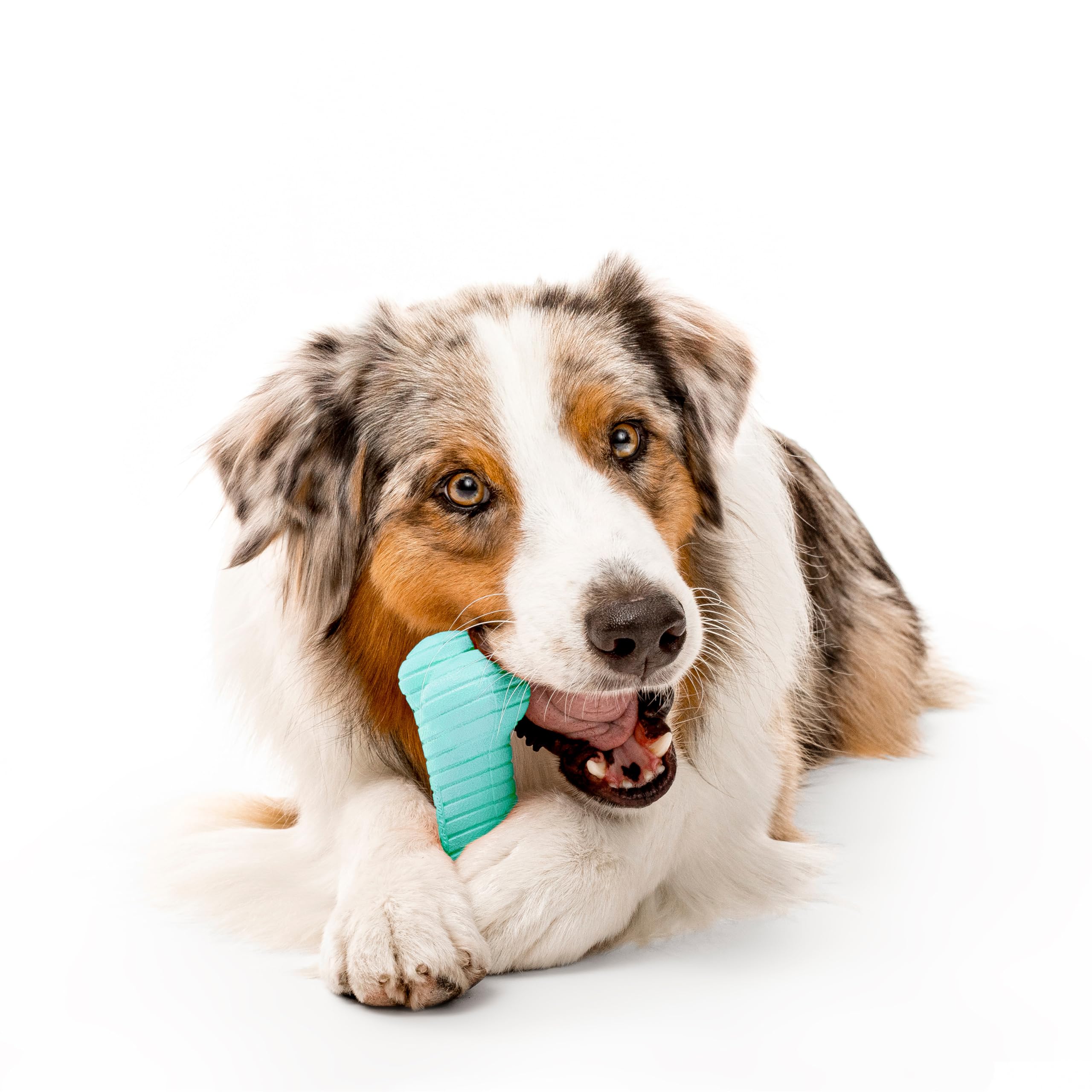 Playology Dog Toys | Dual Layer Bone Durable Chew Toy Bone for Dogs | Jumbo Peanut Butter Scented Toy - Easy to Clean and Made f