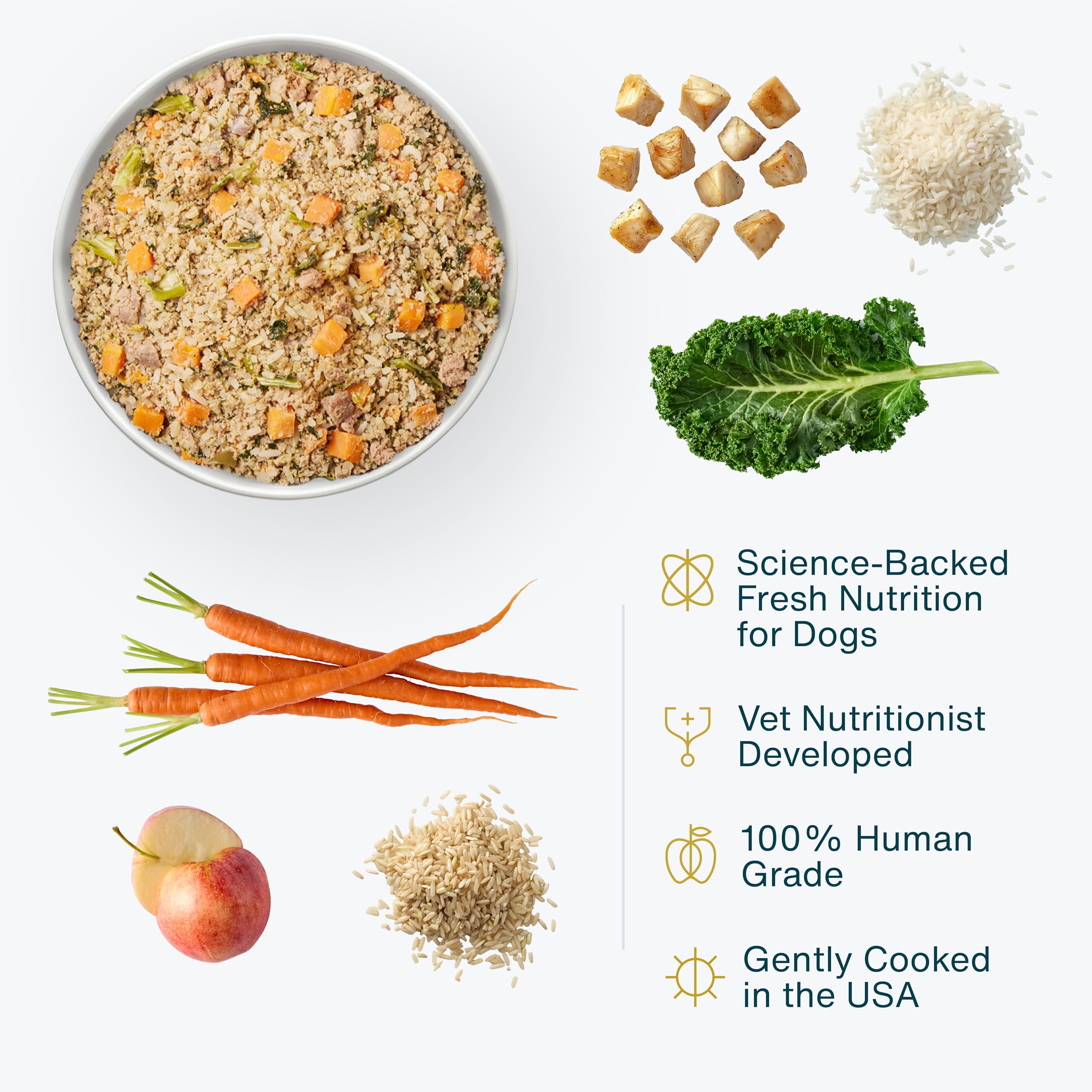 JustFoodForDogs Frozen Fresh Dog Food, Complete Meal or Dog Food Topper, Chicken & Rice Human Grade Dog Food Recipe, 72 oz (Pack