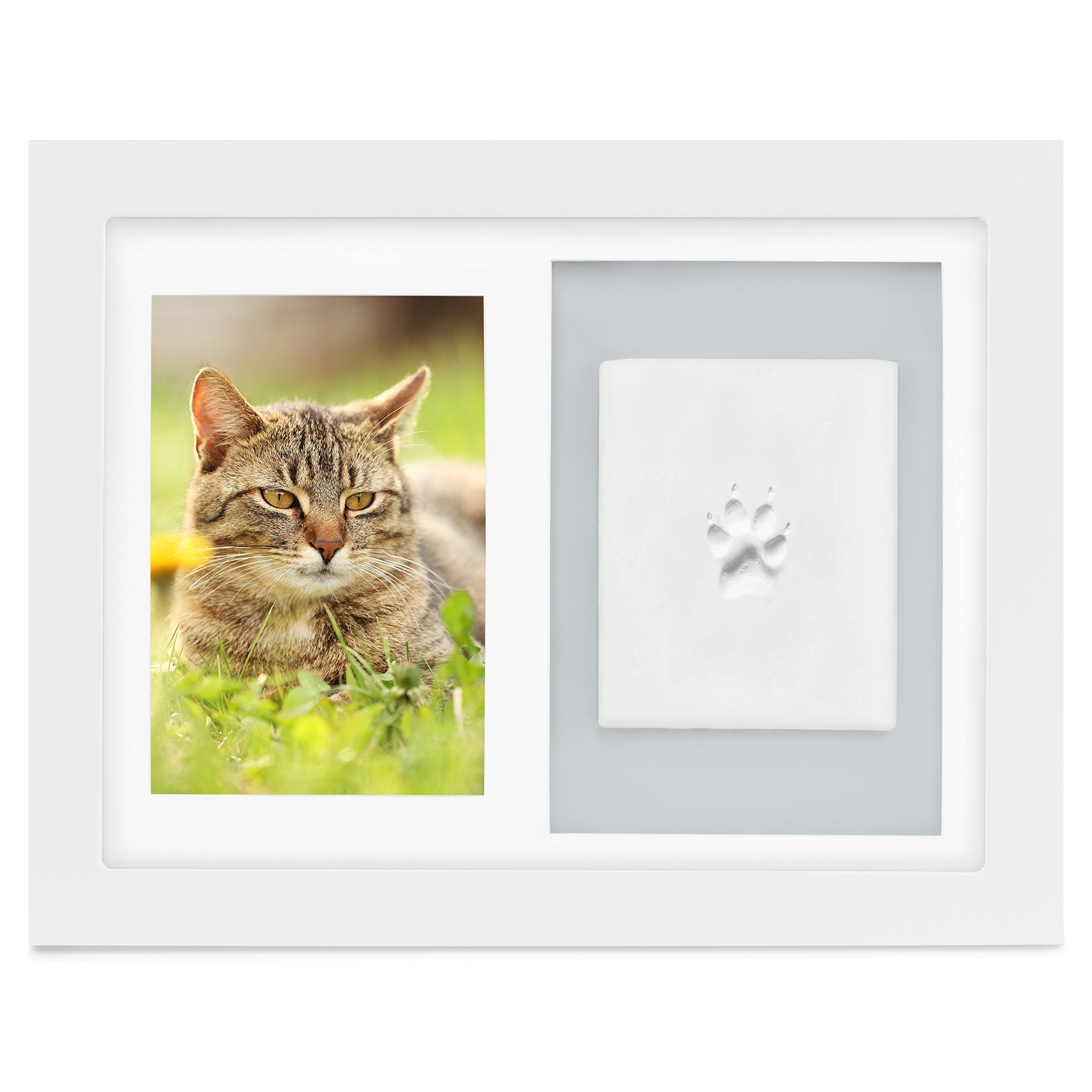 Better World Pets Paw Print + Photo Keepsake Frame Holds 4 X 6 Inch Picture – Memorial Clay Imprint Kit – For Dogs And Cats – Perfect For Pet Lovers – Wall Mount, White