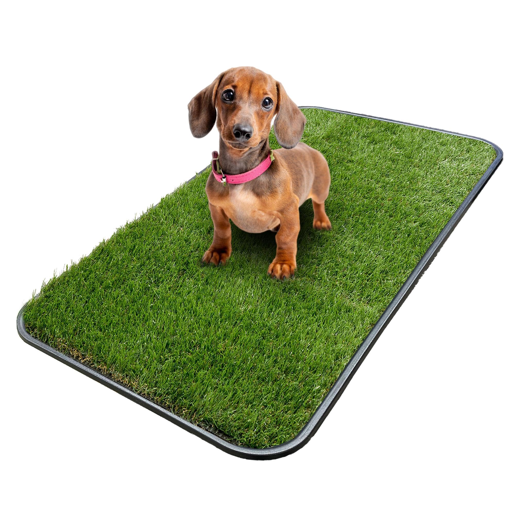 Ottomanson Artificial Grass Puppy Potty Training Pad With Tray, 15'' X 30'' Reusable Pee Pad For Small Pets And Dogs