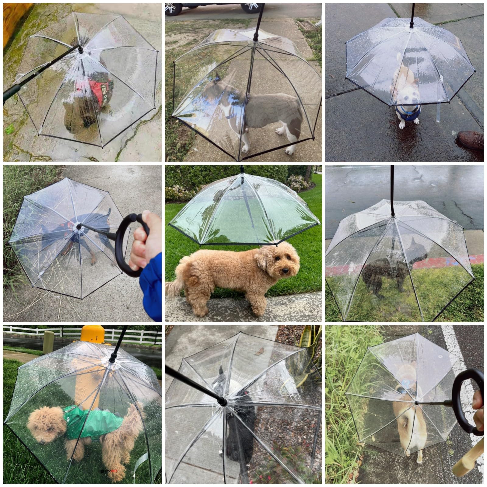 Namsan Clear Dog Umbrella For Small Dogs, Dog Umbrella Leash Keeps Dogs Dry In Rain Walking, Small Dog Rain Umbrella With Adjust
