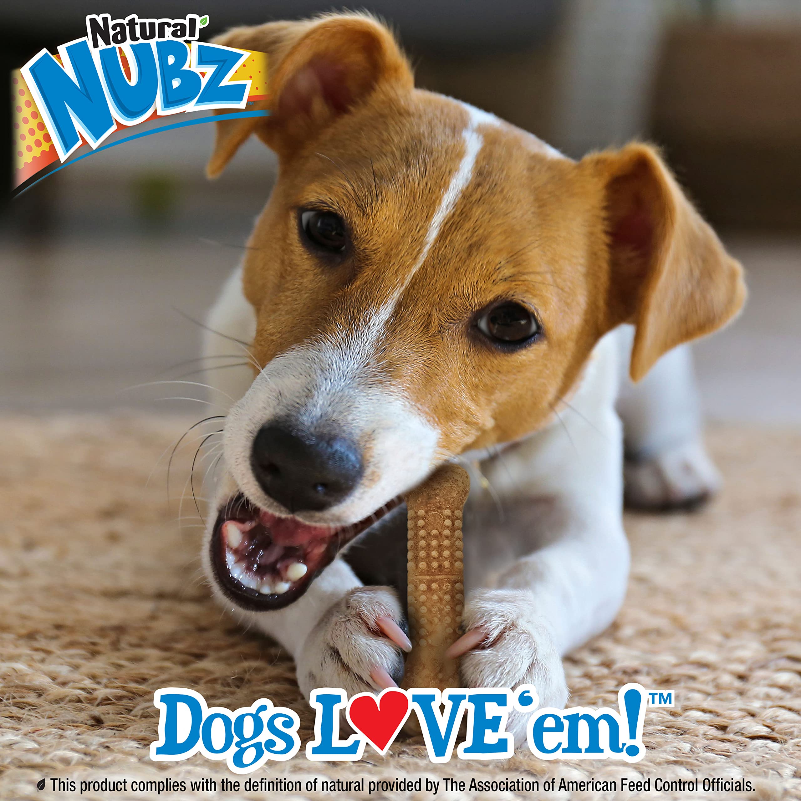 Nylabone Nubz Natural Edible Chew Treats for Dogs, Long Lasting Chews Made in USA, Chicken Flavor, Small - Up to 25 lbs. (32 Cou
