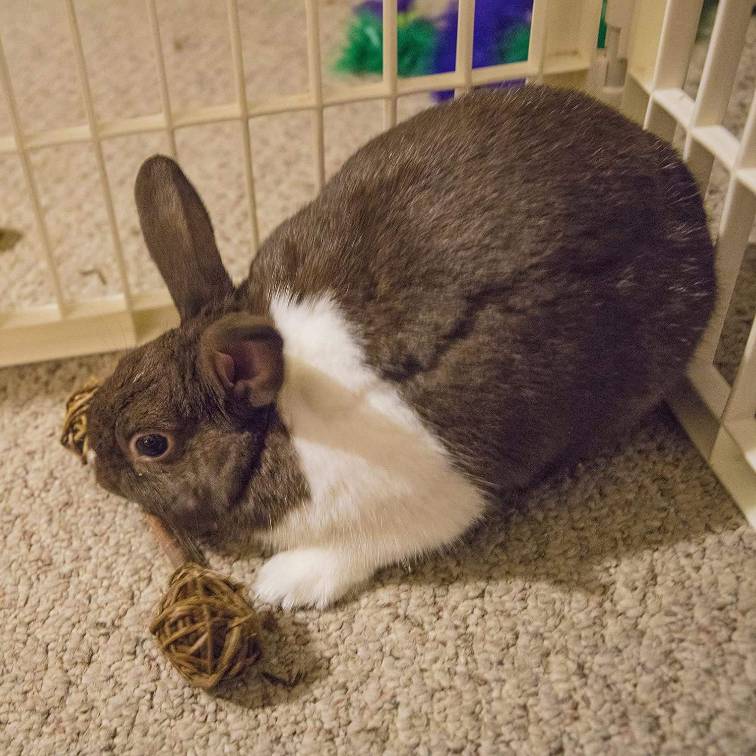 Ware Natural Woven Willow Small Pet Barbell Chew, Small (5 Pack)