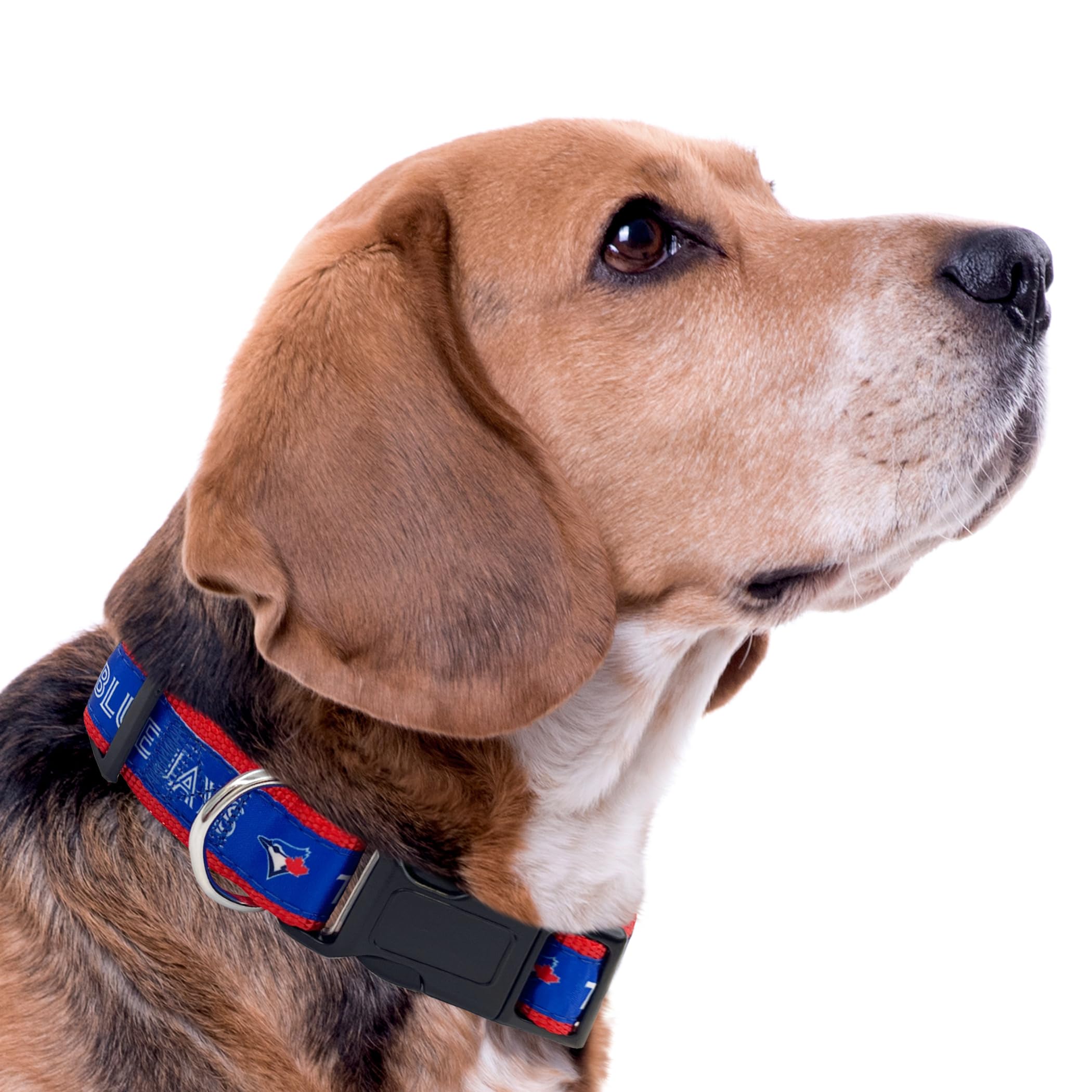 Mlb Toronto Blue Jays Dog & Cat Collar, X-Large. Baseball Team Collar For Dogs & Cats. Shiny & Colorful, Licensed By The Mlb