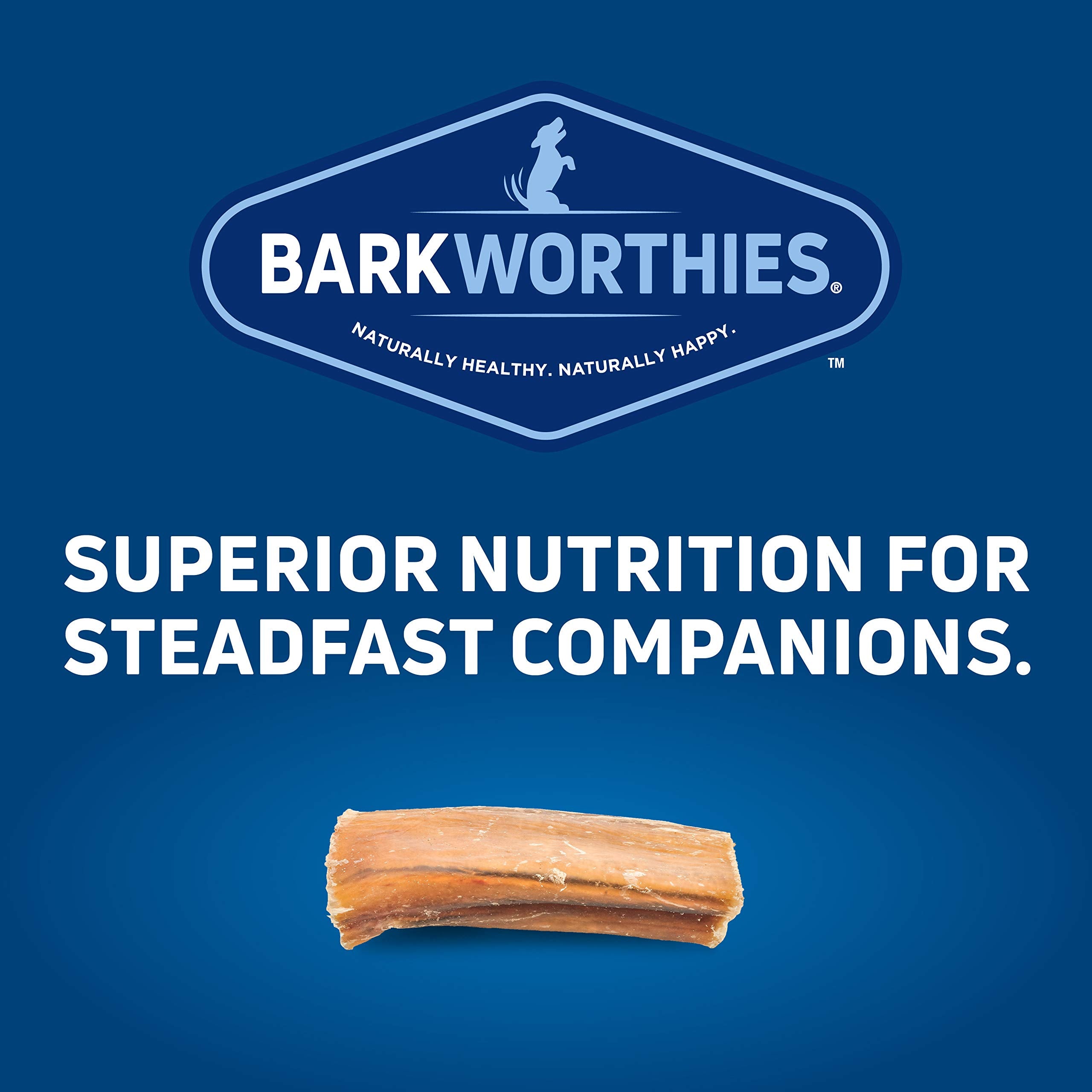 Barkworthies Bully Bites Dog Treats; 16Oz Bag
