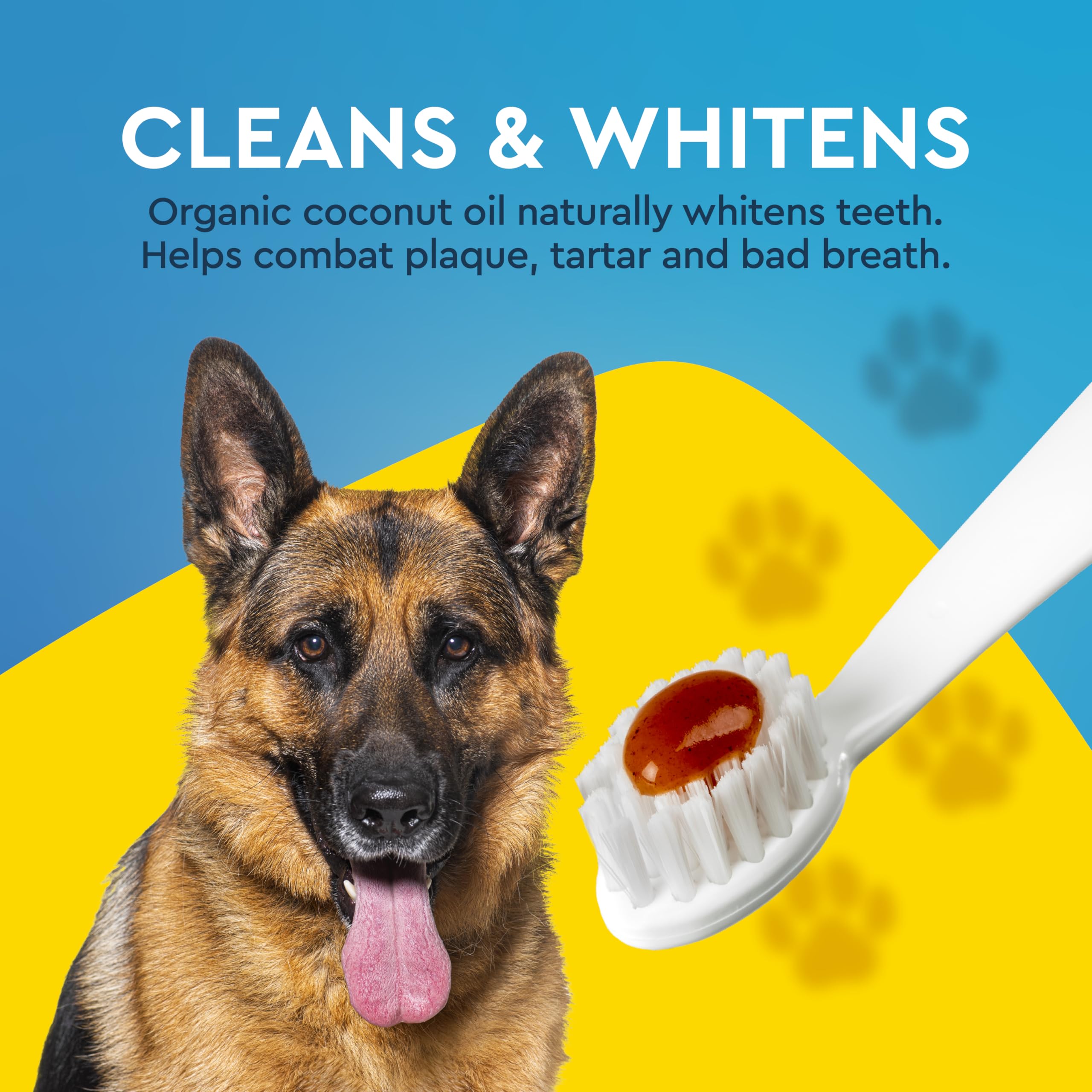 RADIUS Canine Pet Toothpaste, Cinnamon Sweet Potato, 3 oz, Non-Toxic Toothpaste for Dogs, Designed to Clean Teeth, Help Prevent