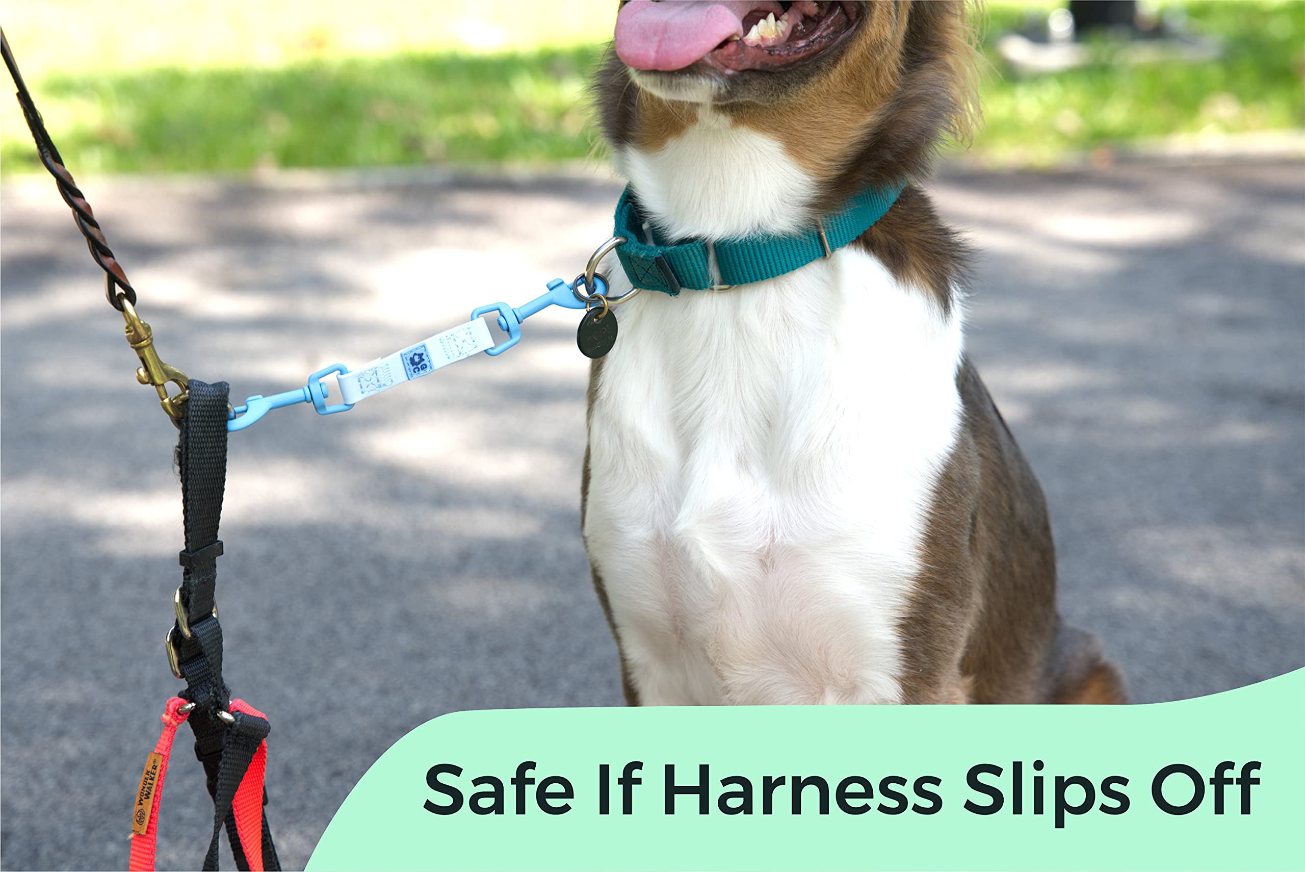 Gentle Creatures Collar Companion - Reinforced, Waterproof Poly Backup Clip For Dog Harness And Collar Safety Clip
