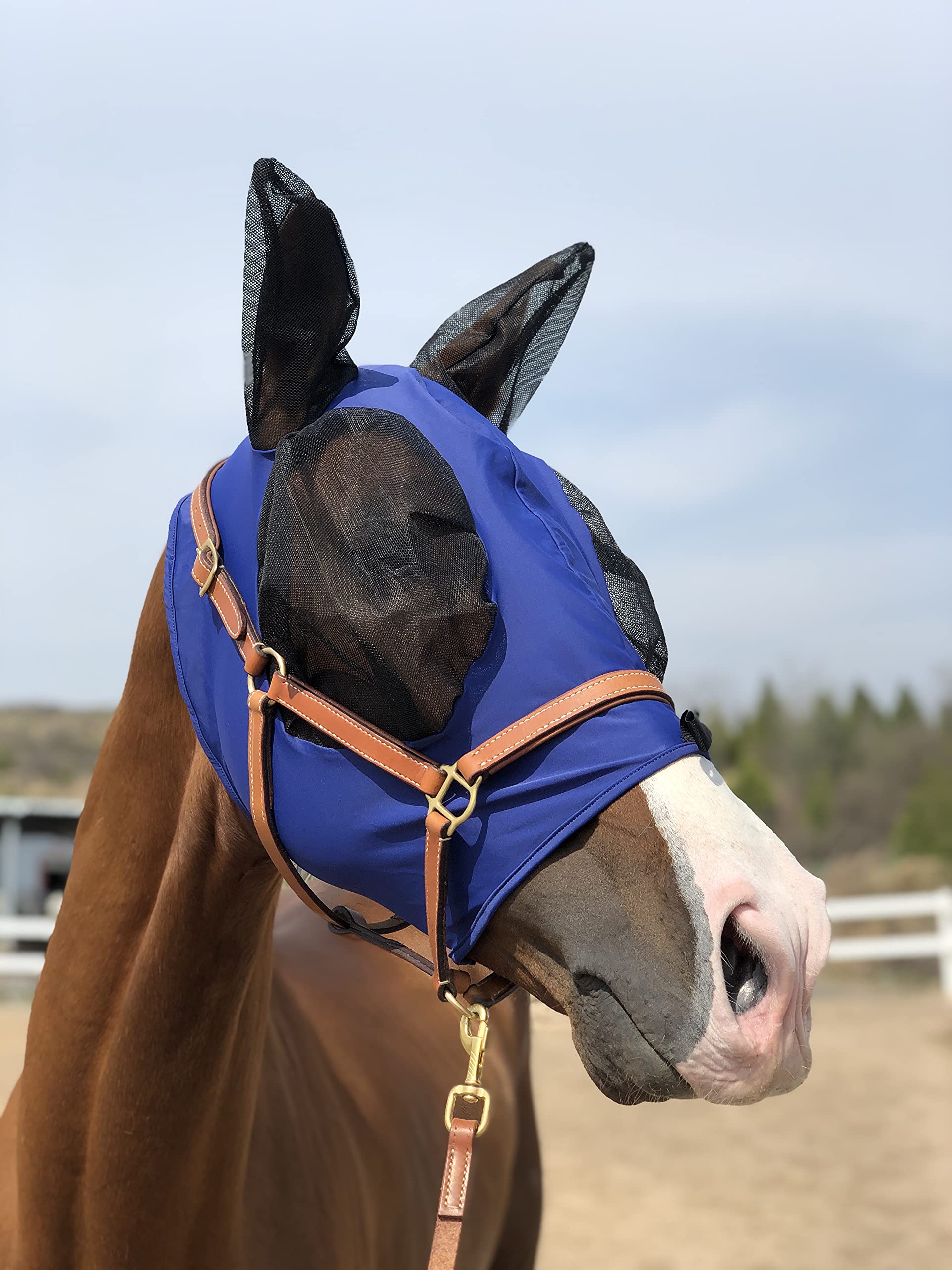 Horse Fly Mask Super Comfort Horse Fly Mask Elasticity Fly Mask with Ears We Only Make Products That Horses Like (DK Blue, M)