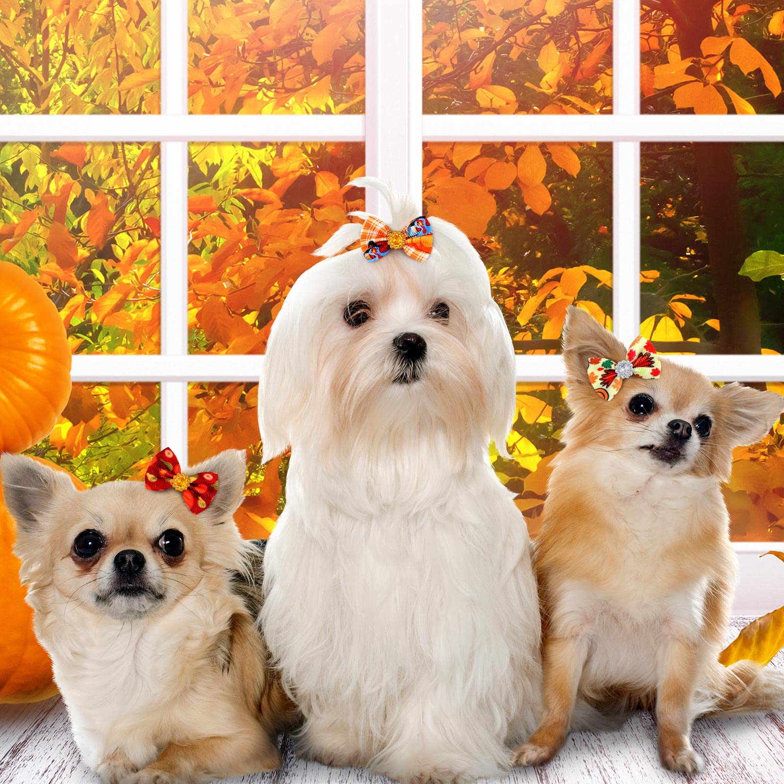 Tondiamo 100 Pack Fall Dog Hair Bows For Thanksgiving Day Dog Hair Bows With Rubber Bands Puppy Rhinestone Grooming Pumpkin Turk