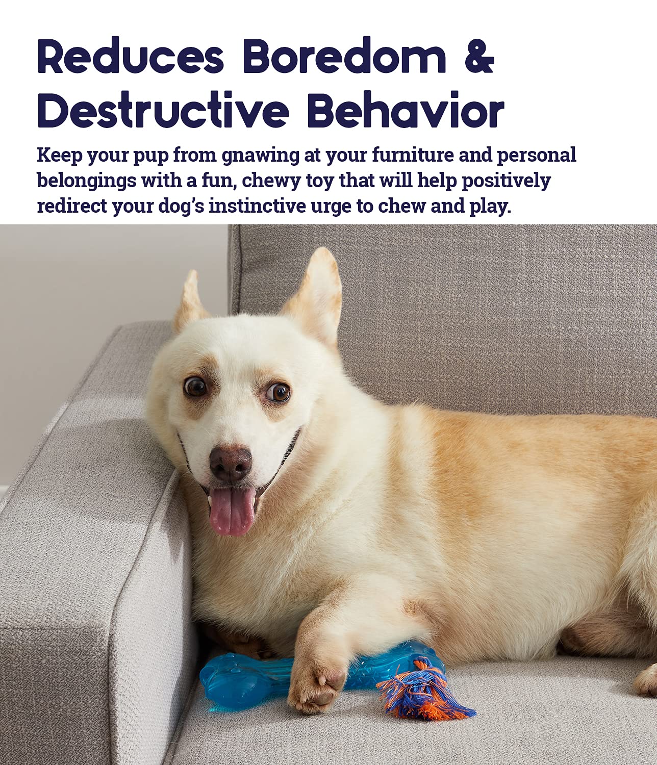 Petstages Orka Bone Royal Blue Treat-Dispensing Dog Chew Toy