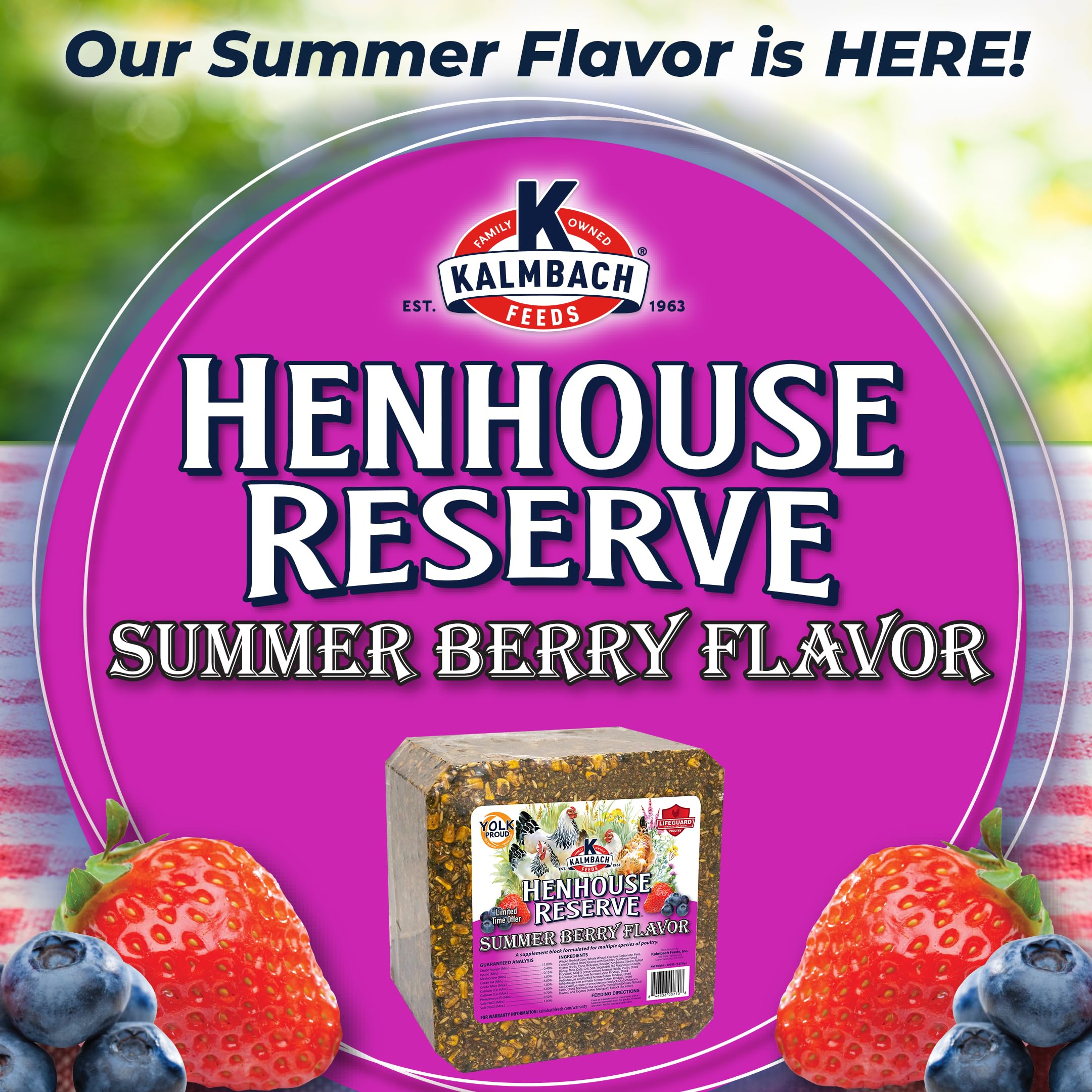 Kalmbach Feeds Henhouse Reserve Summer Berry Flavored Treat Block for Chickens, 20 lb