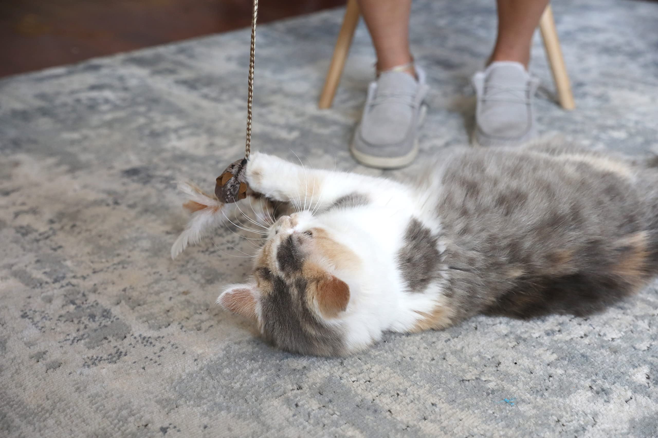 Ourpets Play-N-Squeak Teathered & Feathered Play Wand Cat Toy, For All Breed Sizes