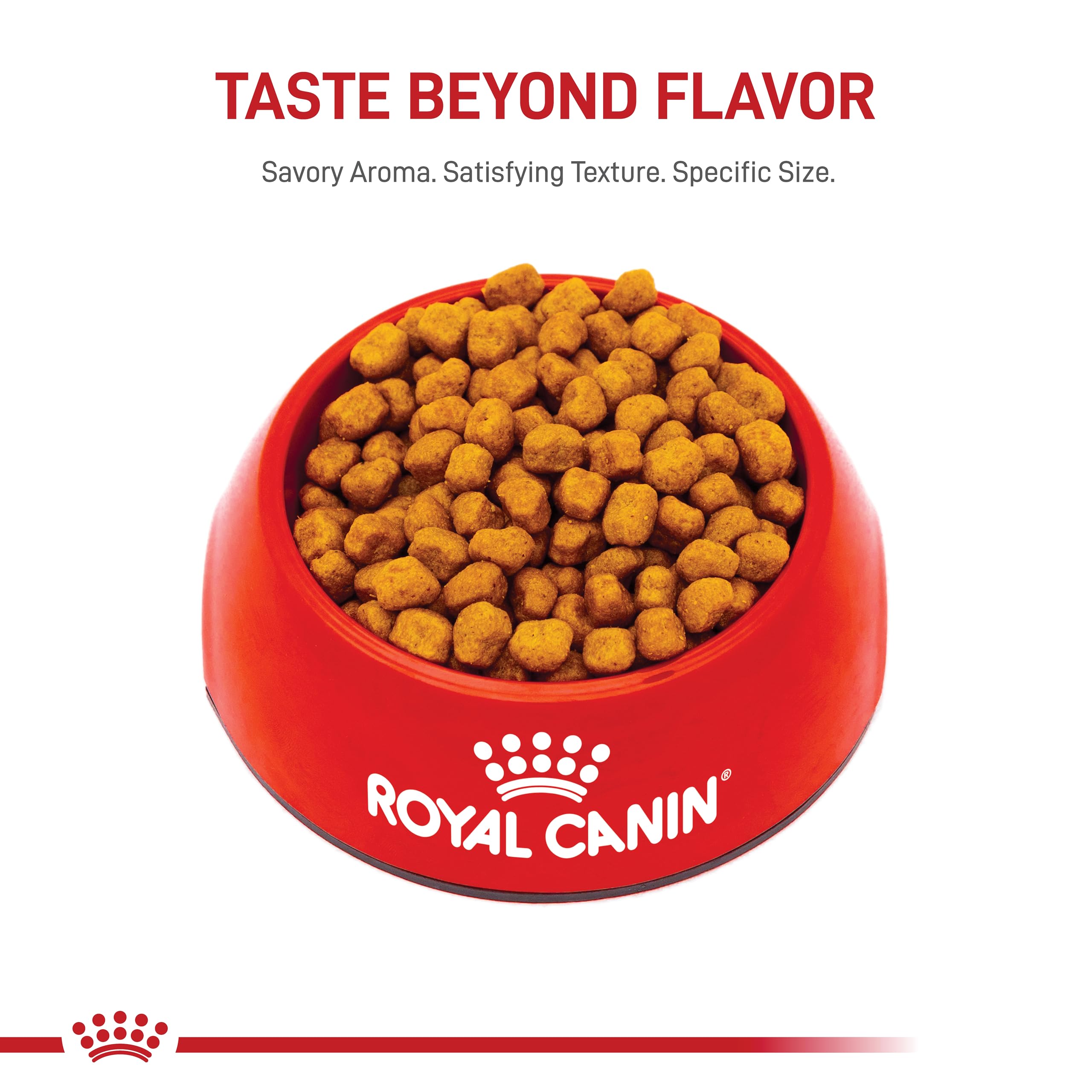 Royal Canin Shih Tzu Adult Breed Specific Dry Dog Food, 10 lb bag